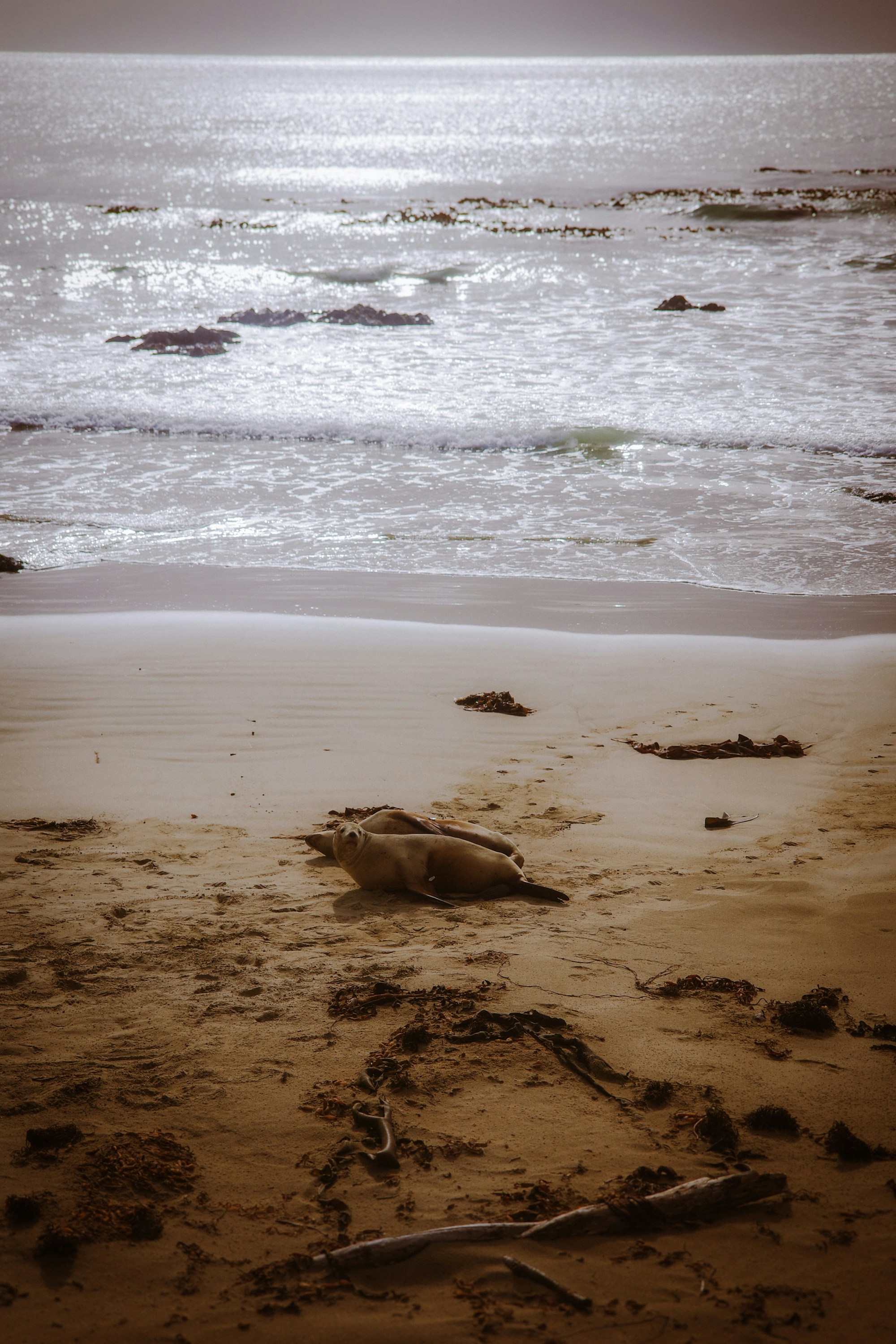 Photo by jamiekettle10