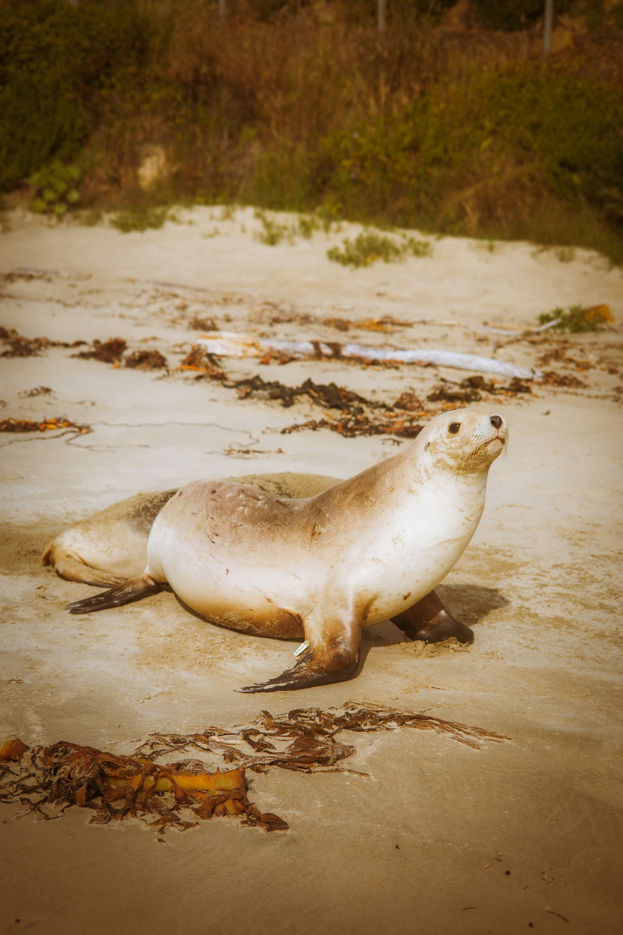 Photo by jamiekettle10