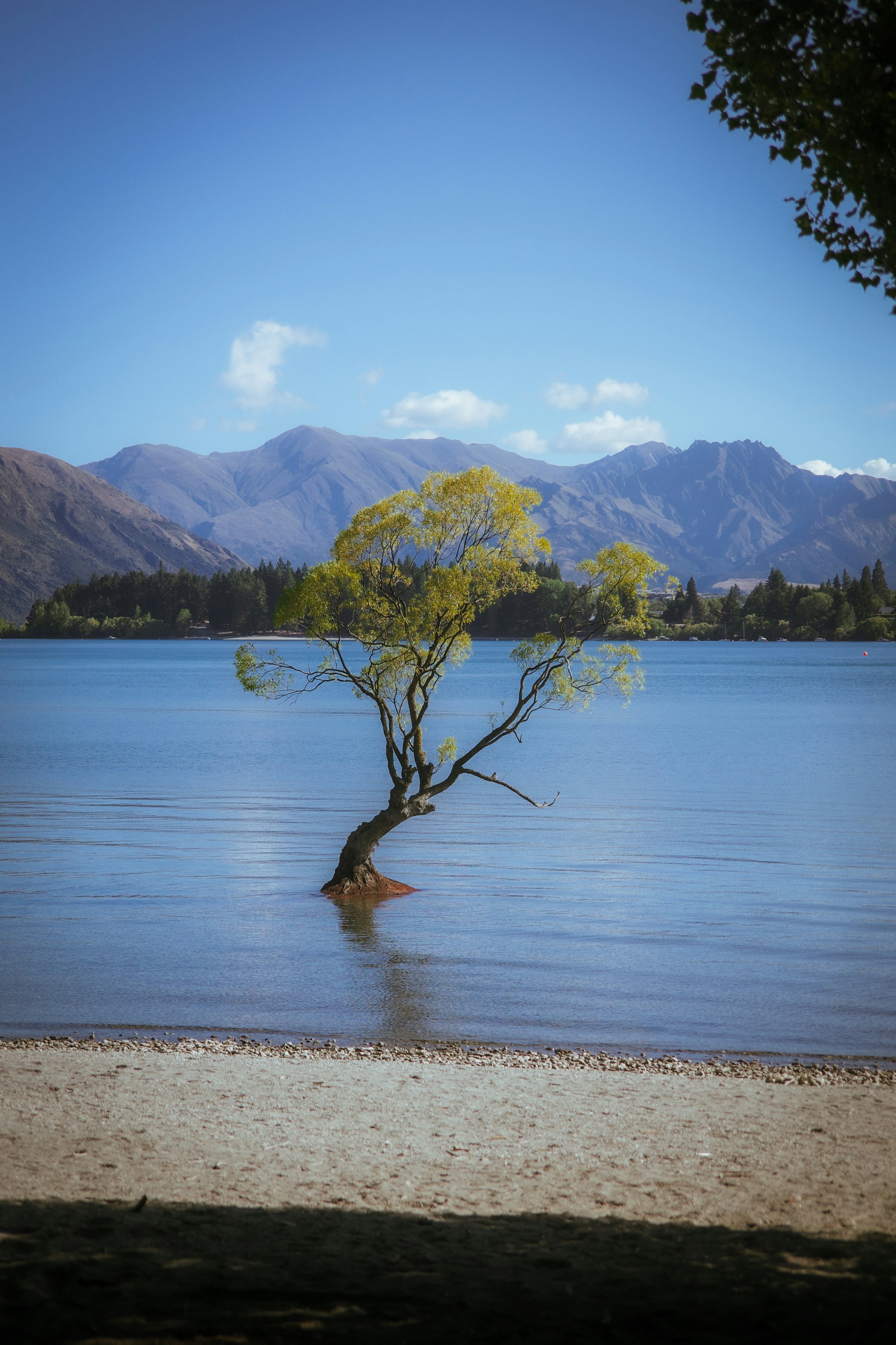 Photo by jamiekettle10