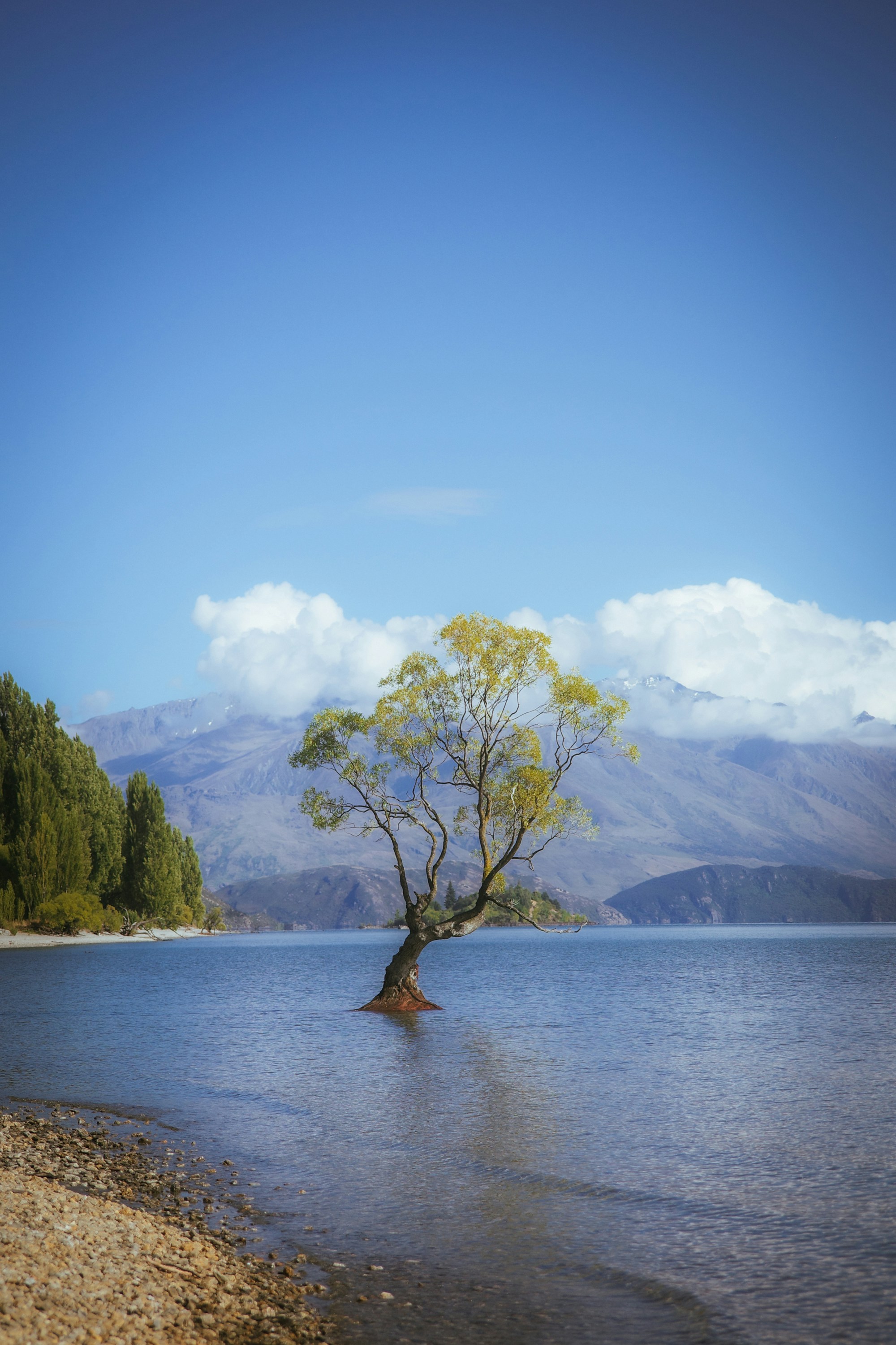 Photo by jamiekettle10