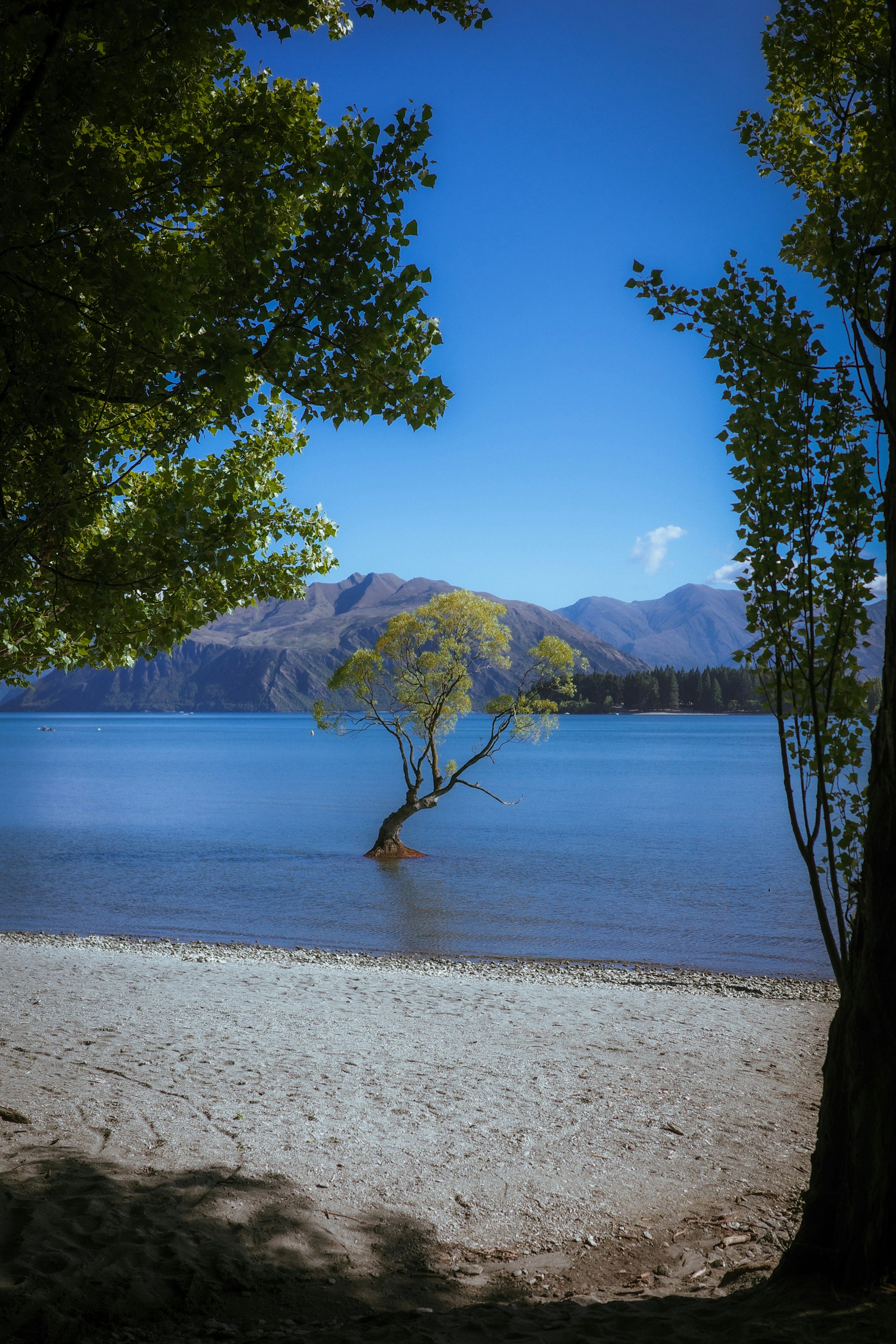 Photo by jamiekettle10