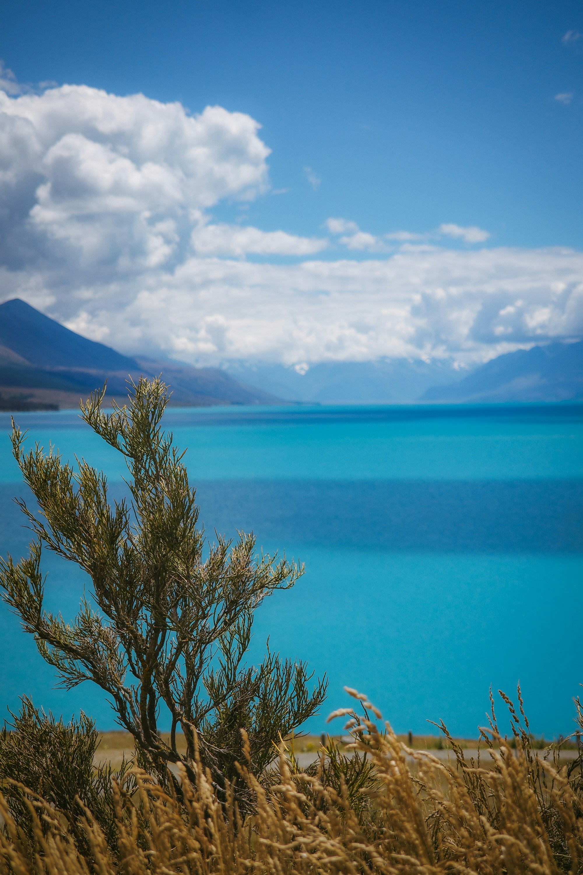 Photo by jamiekettle10