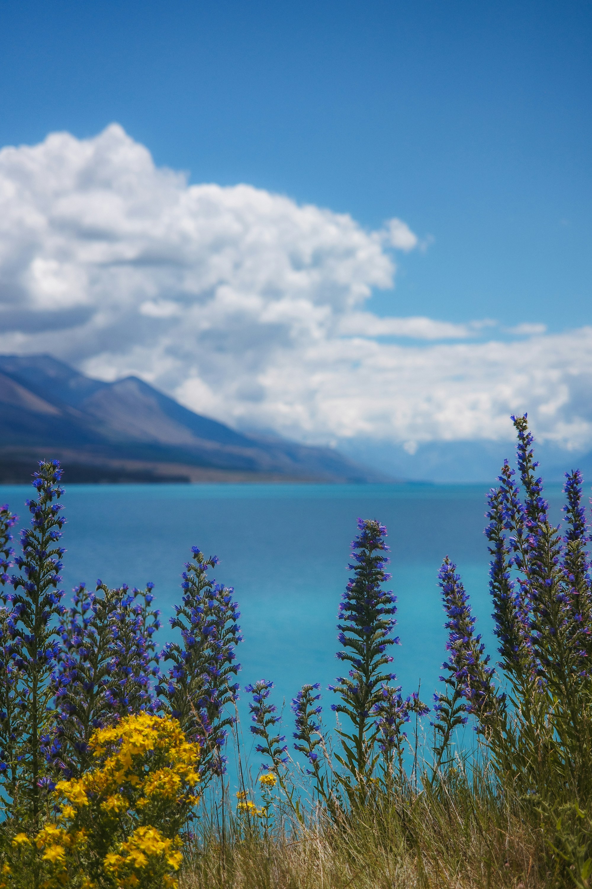 Photo by jamiekettle10