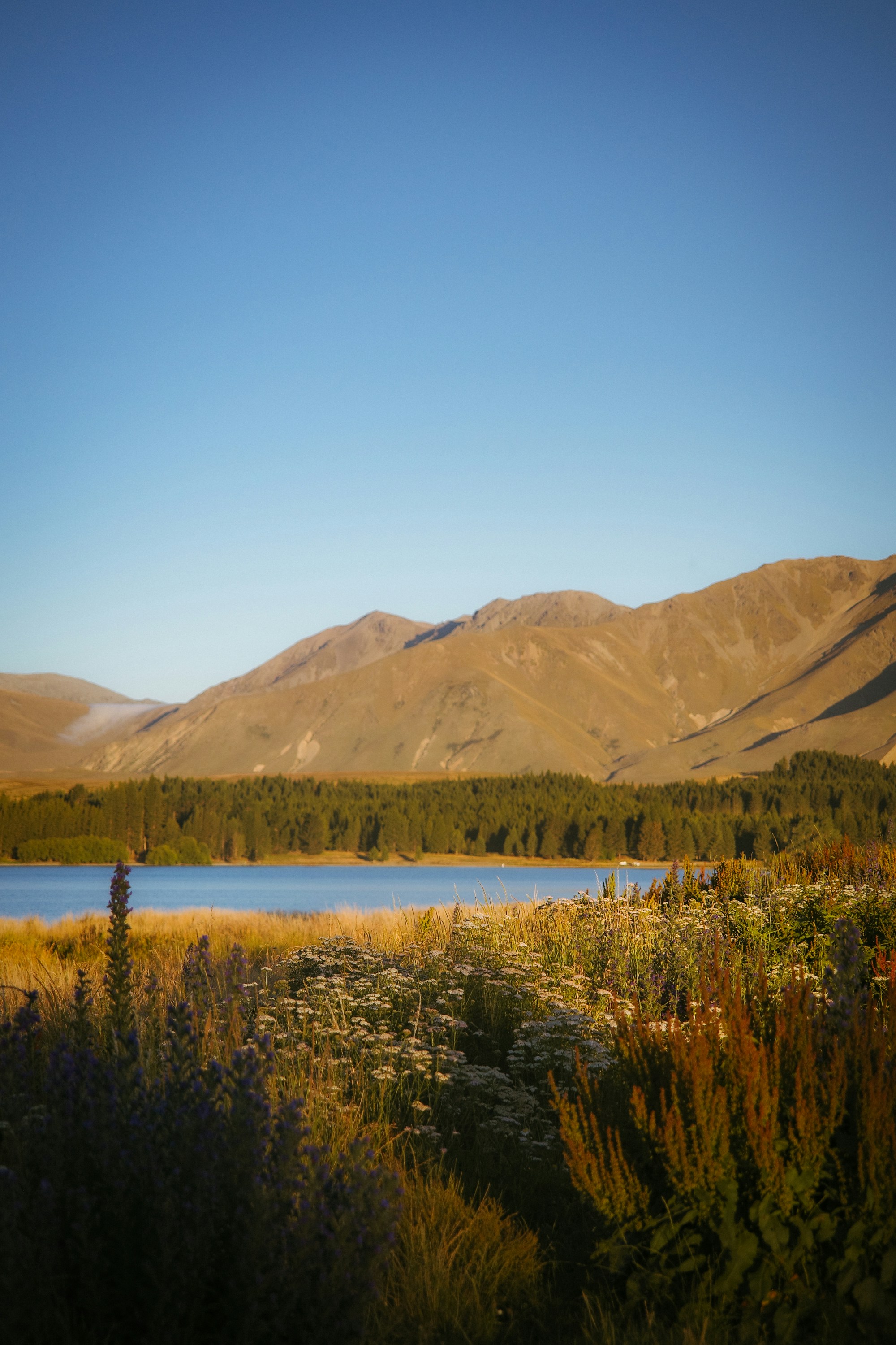 Photo by jamiekettle10