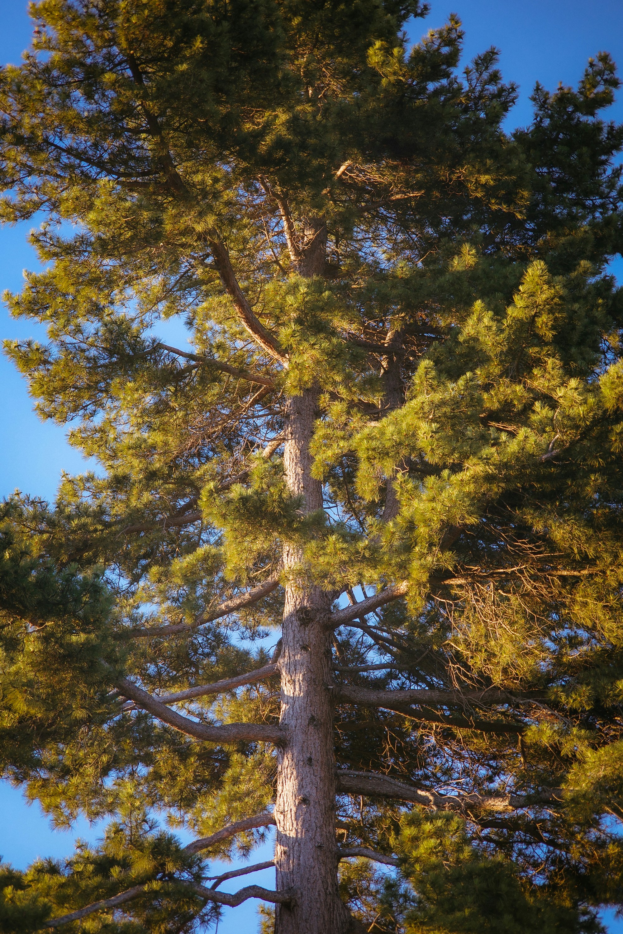 Photo by jamiekettle10