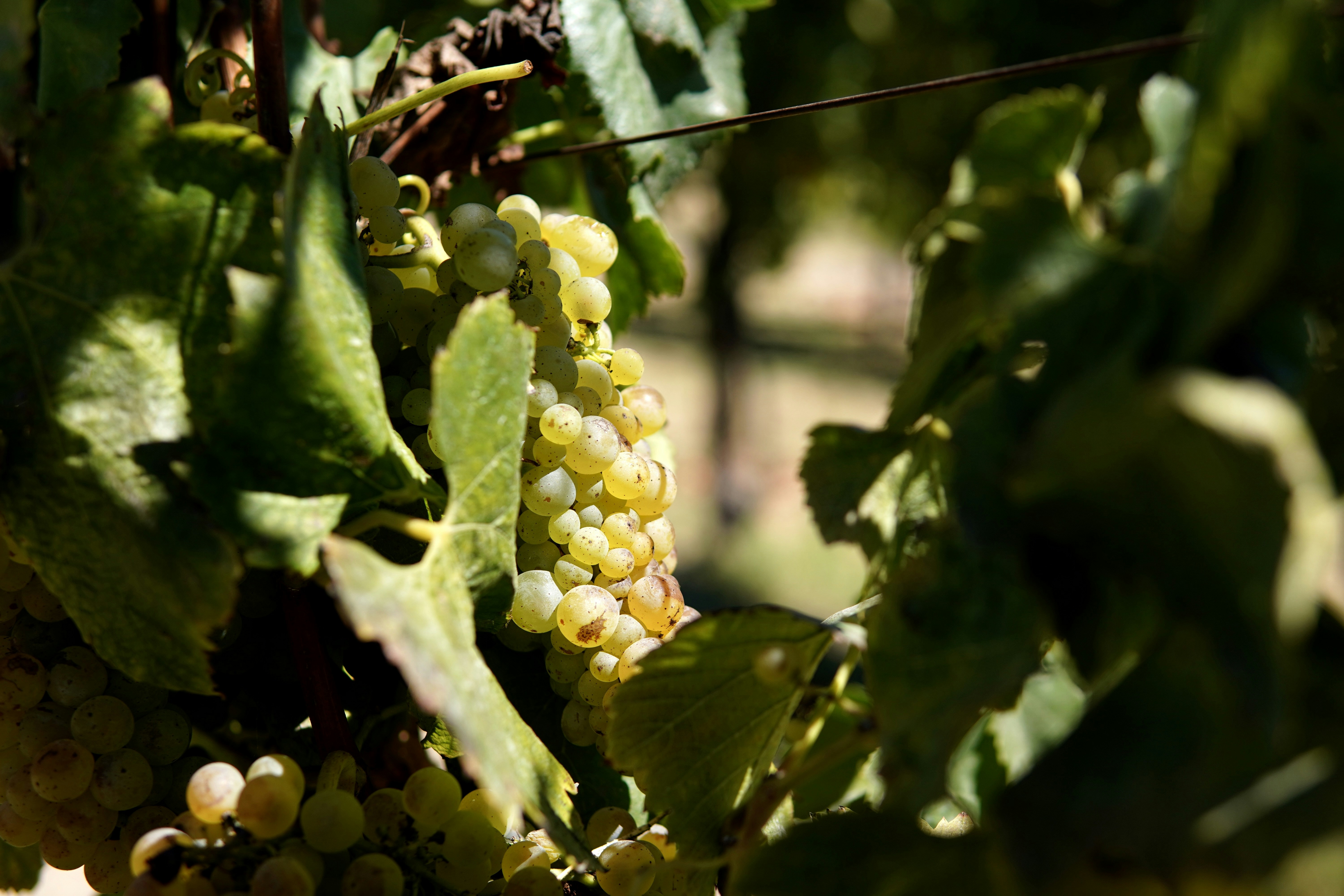 Photo by brettwharton