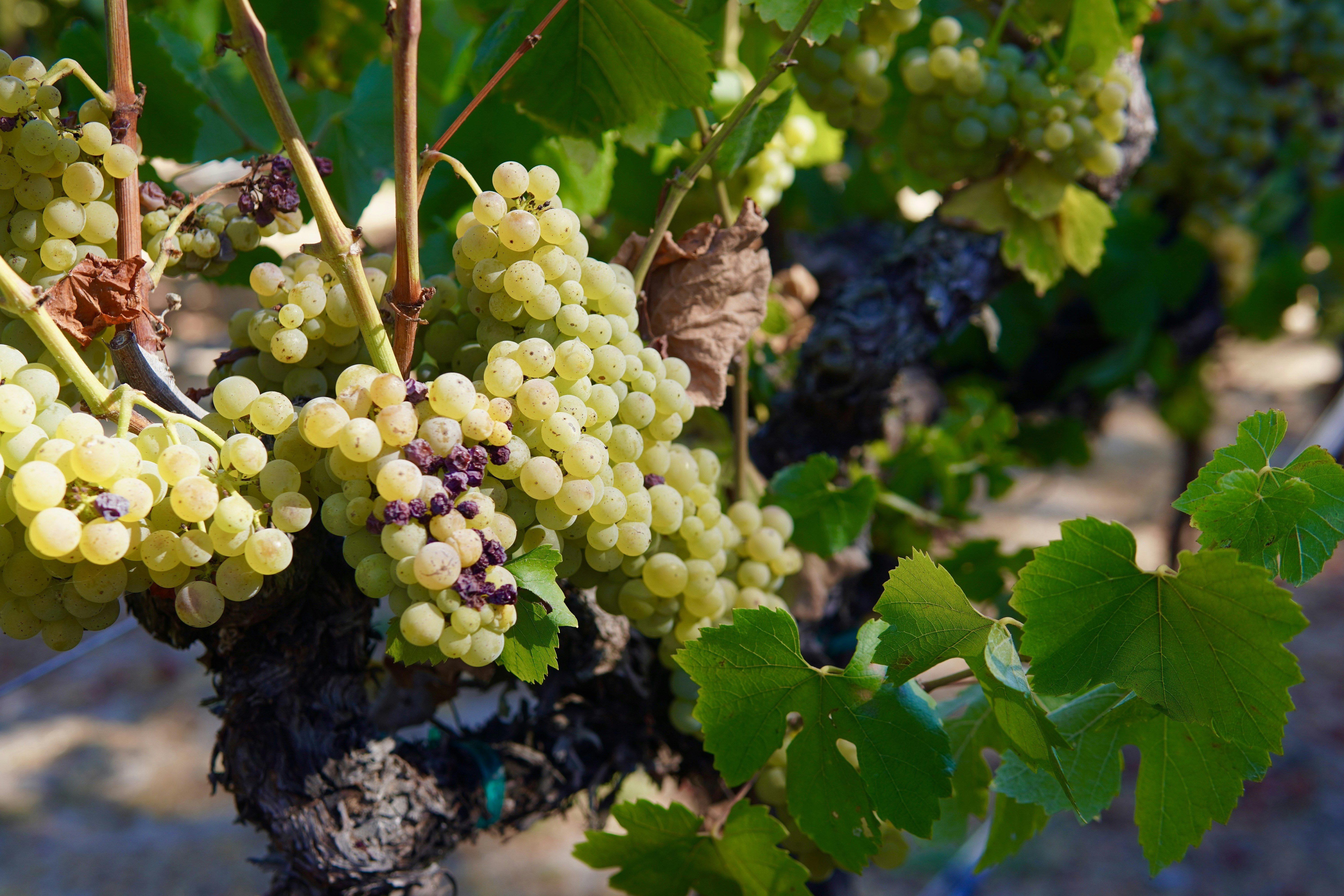 Photo by brettwharton