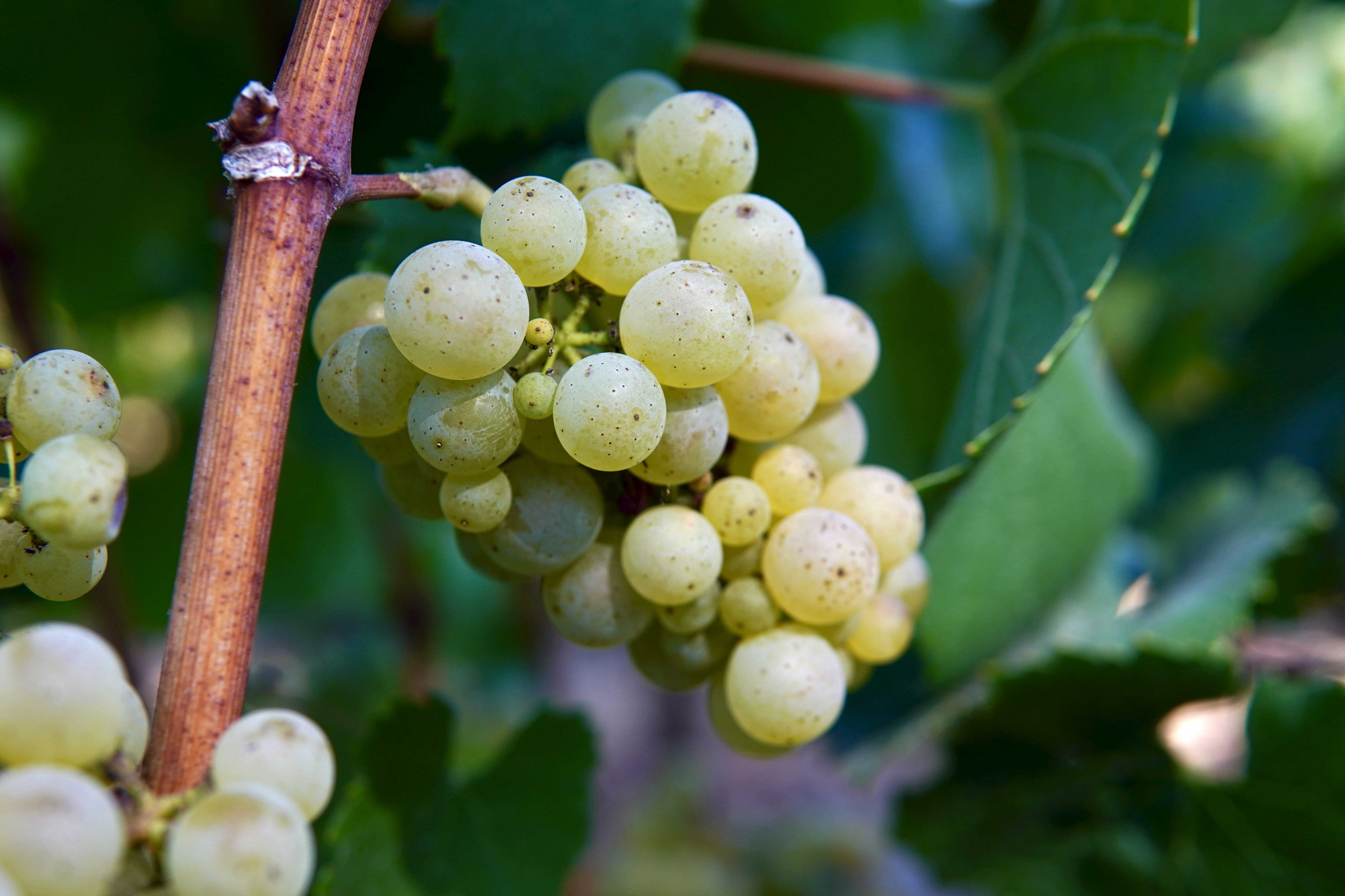 Photo by brettwharton