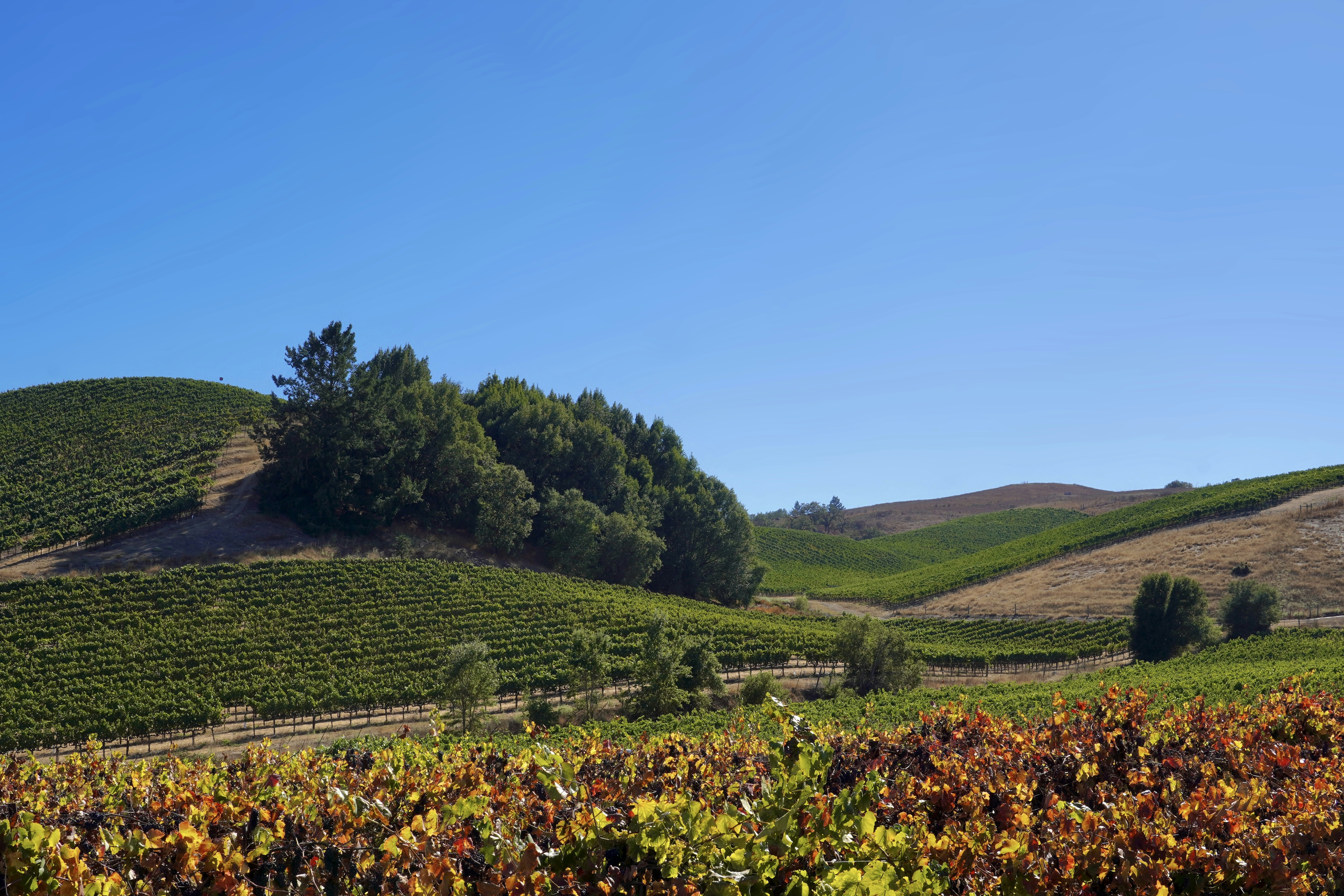 Photo by brettwharton