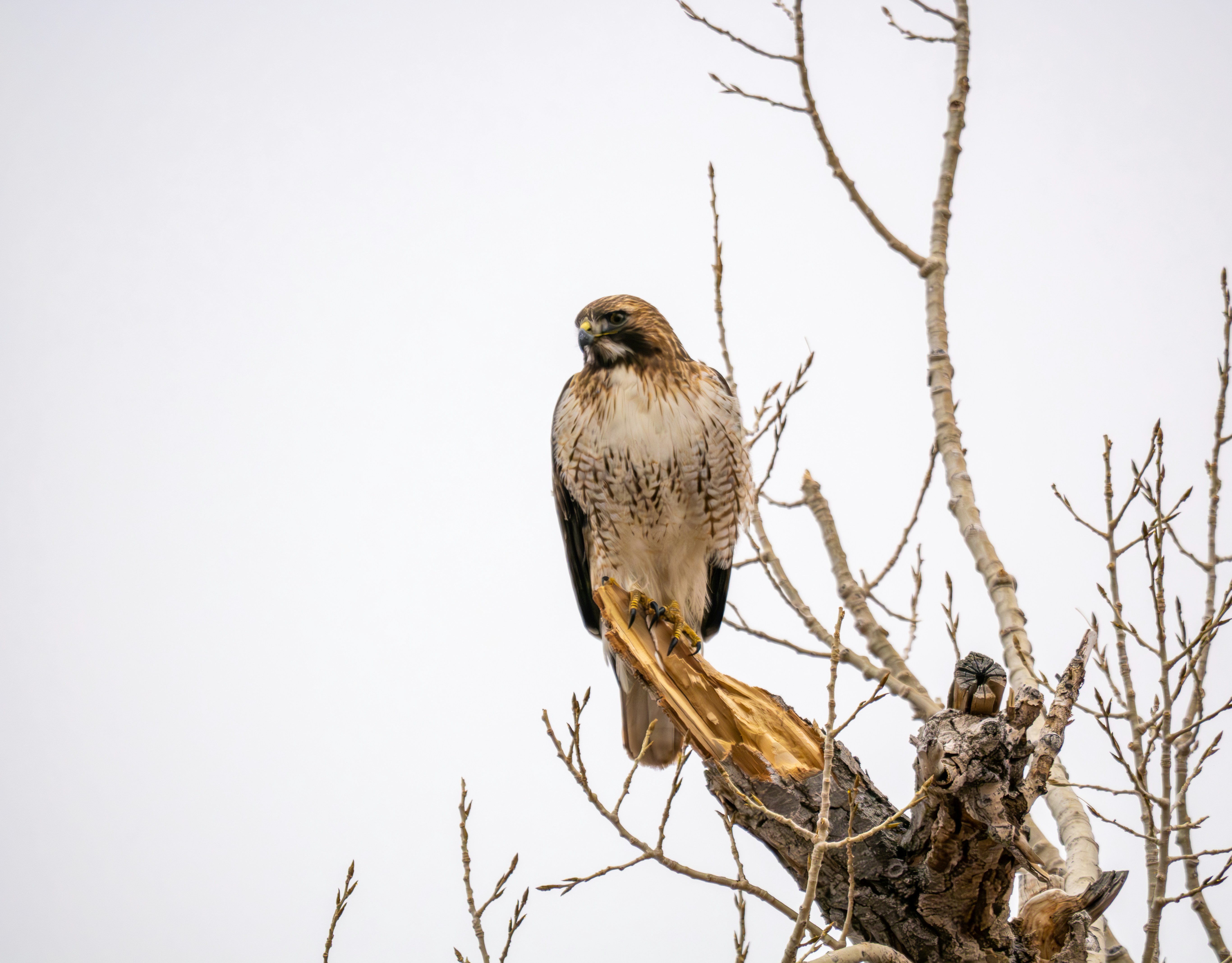 Photo by huntermastersmusic