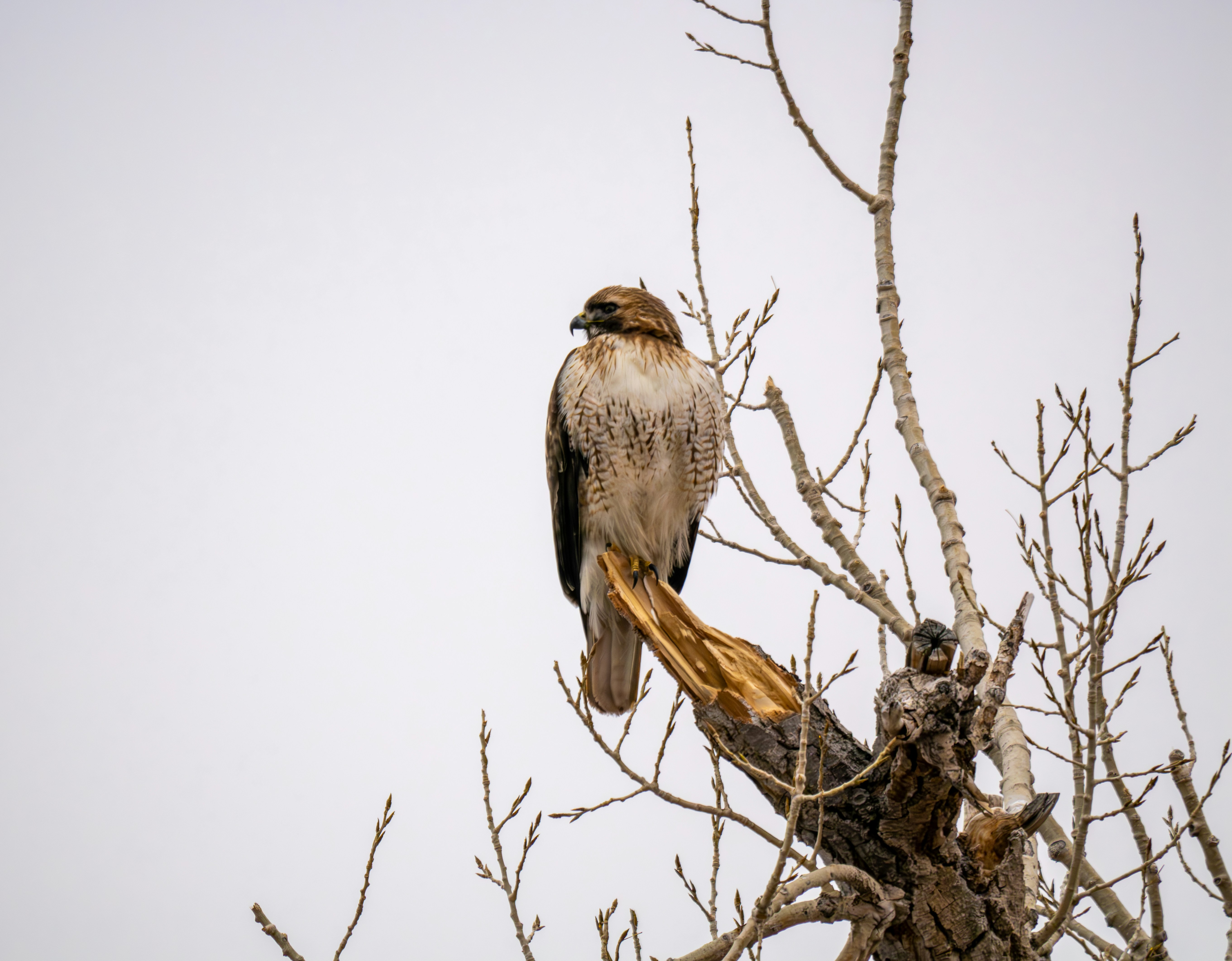 Photo by huntermastersmusic