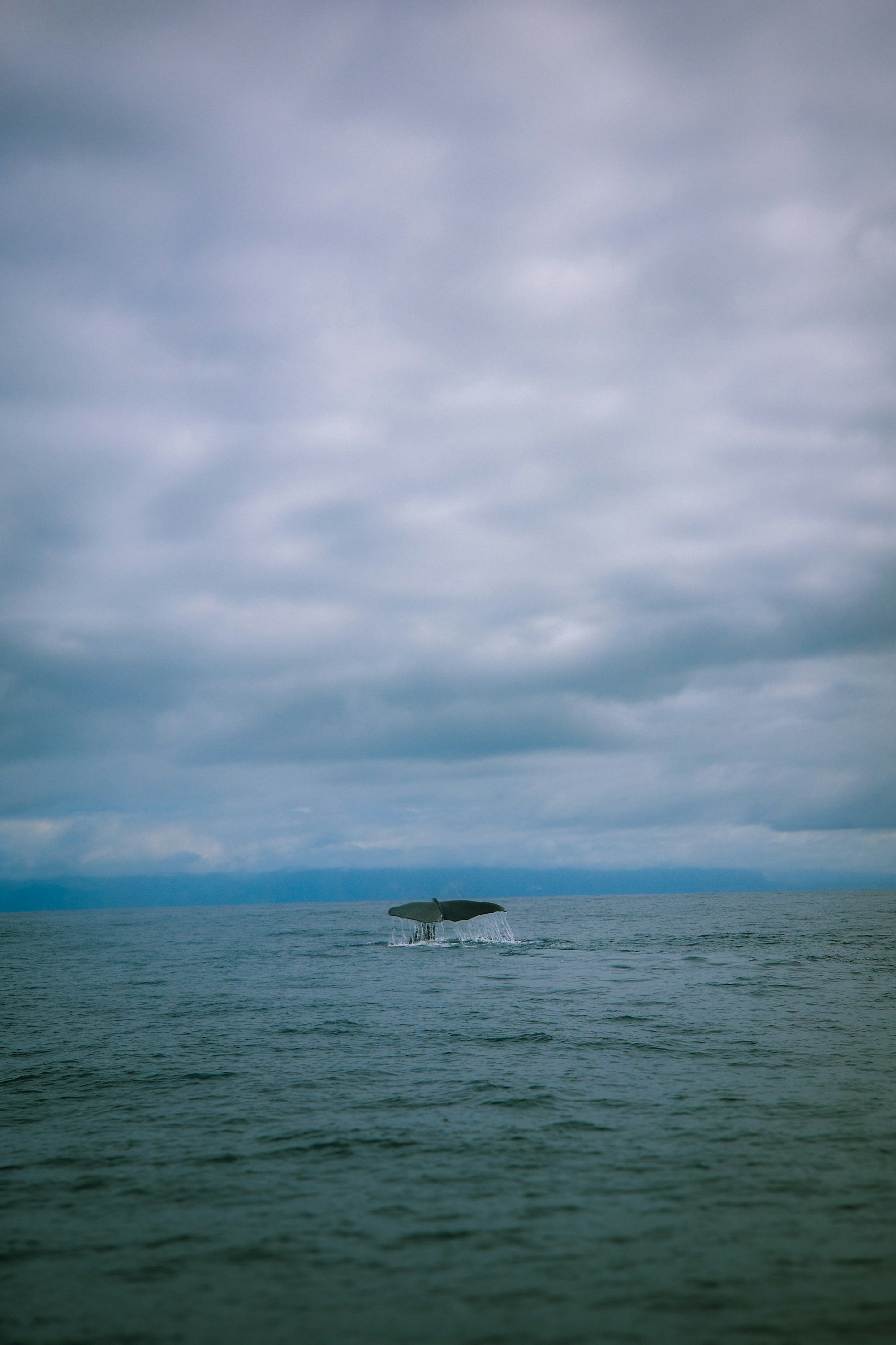 A small boat floating on top of a large body of water photo – Free Land ...