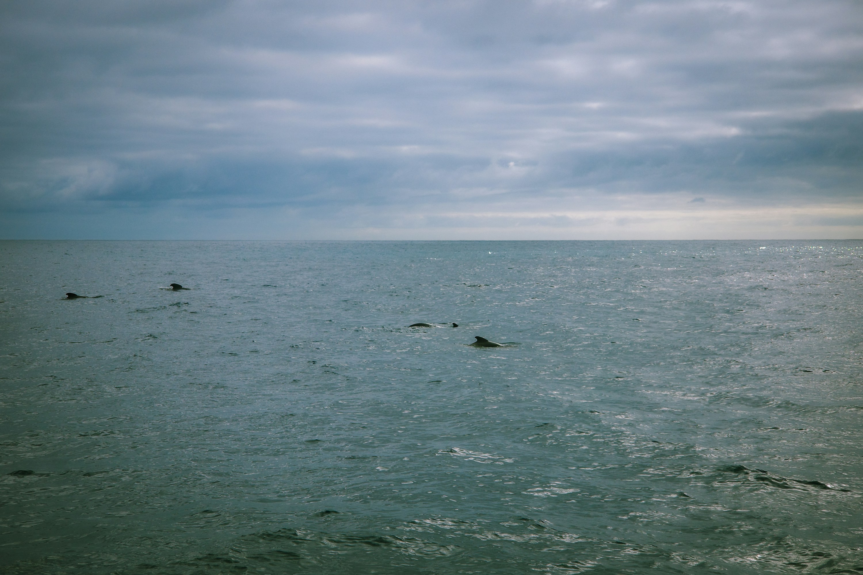 Photo by jamiekettle10