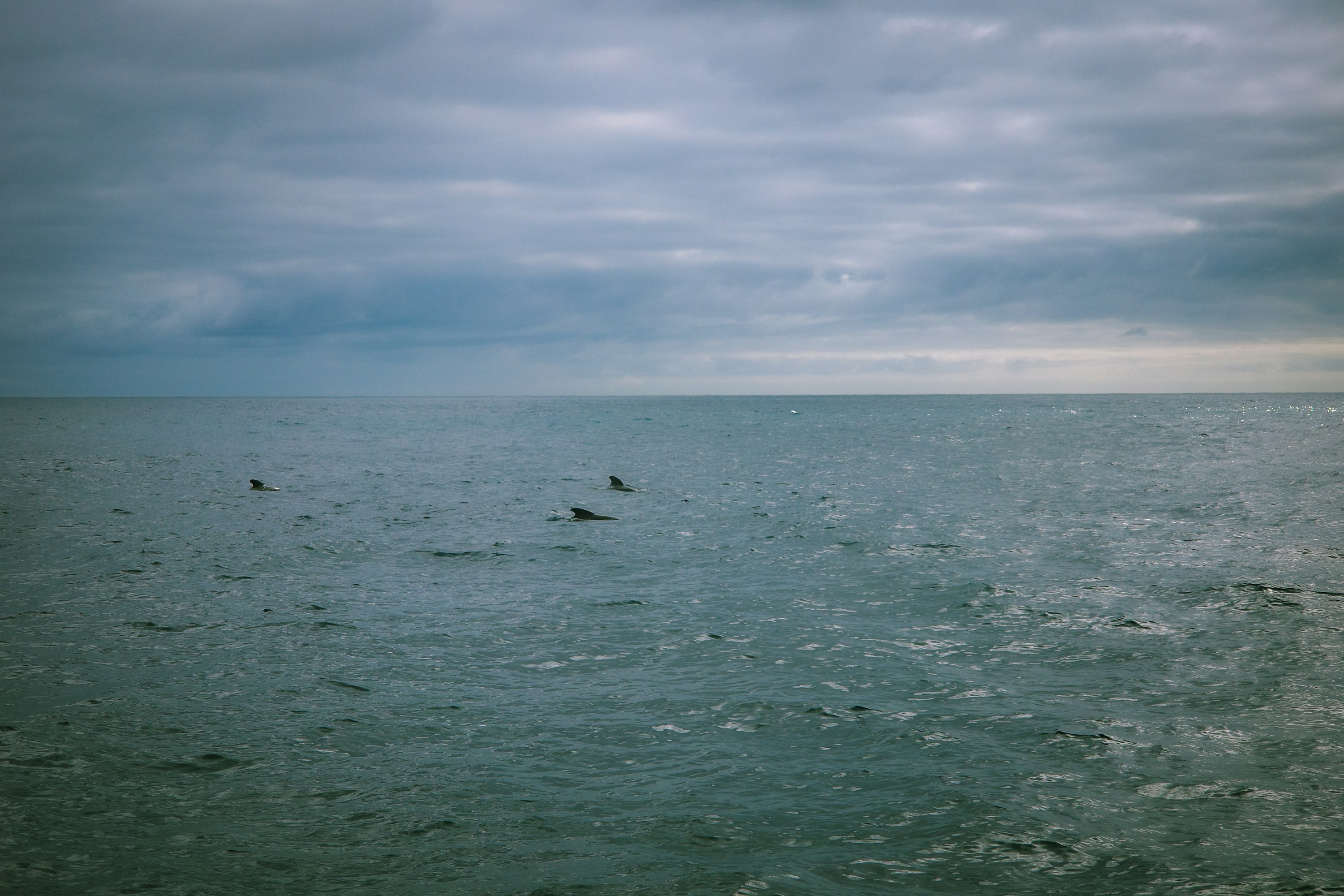 Photo by jamiekettle10