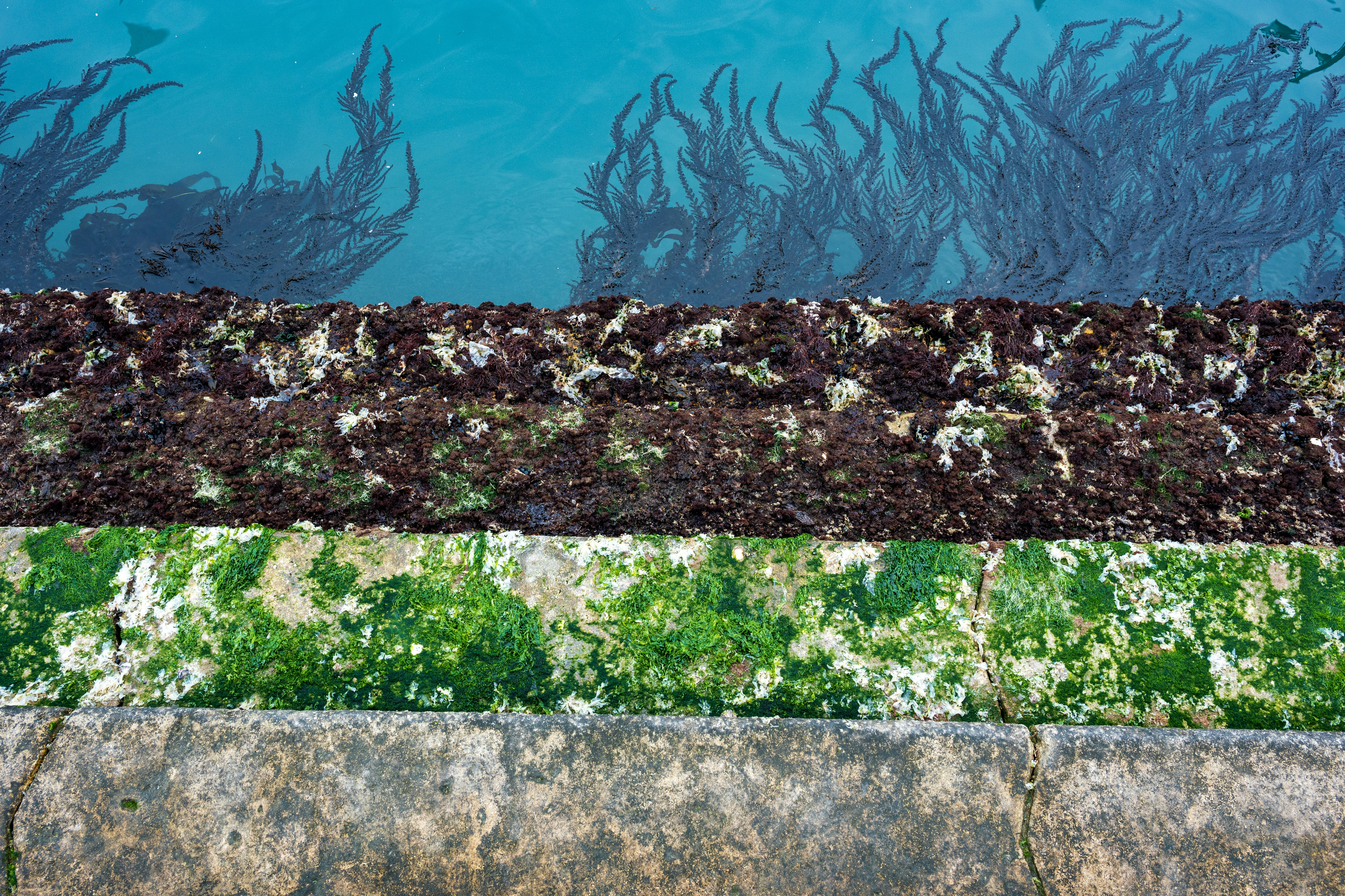 Chockerande rapport: Kriminalitet infiltrerar idrottsarenorna!