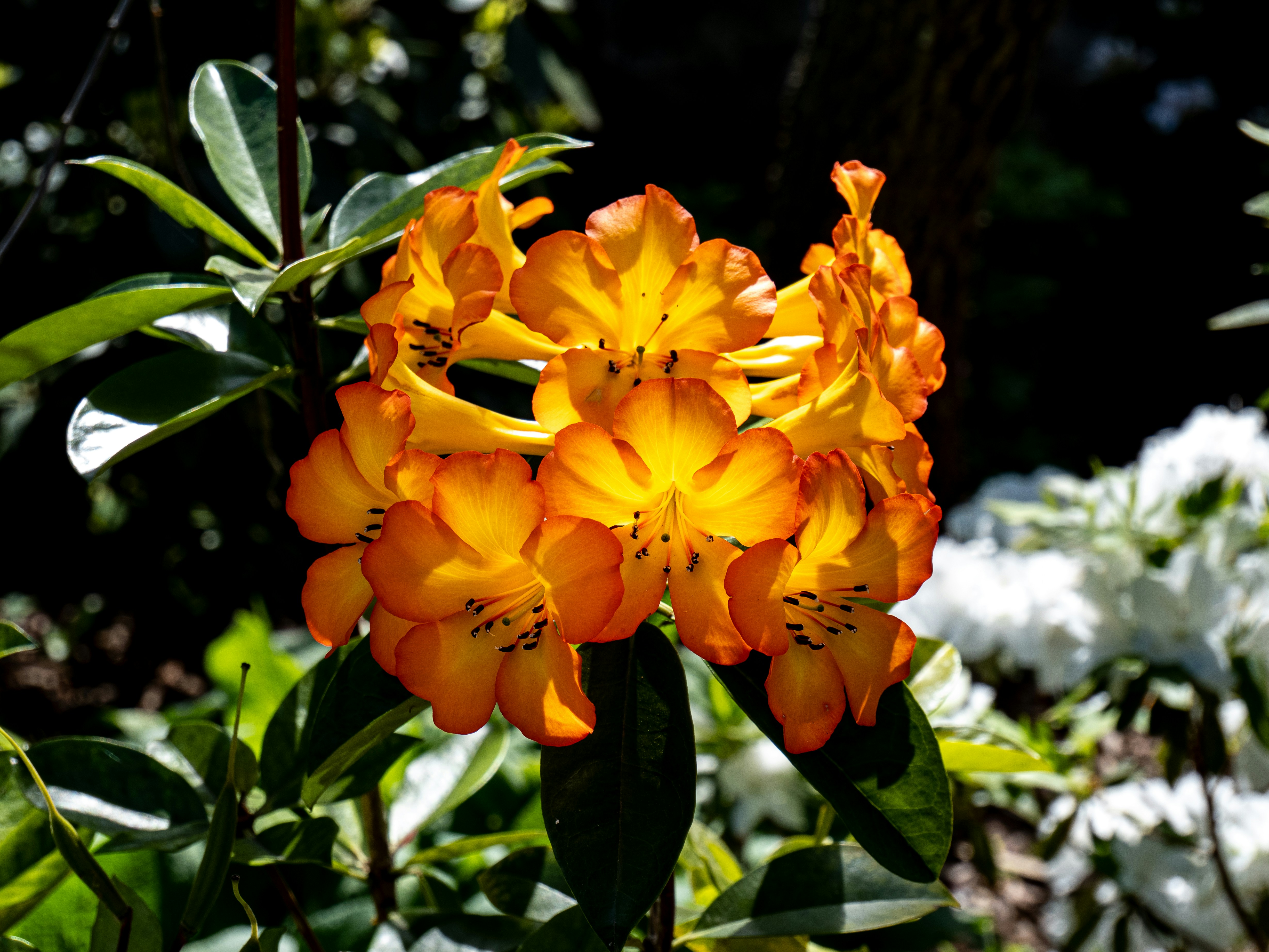 Photo by traces_du_monde