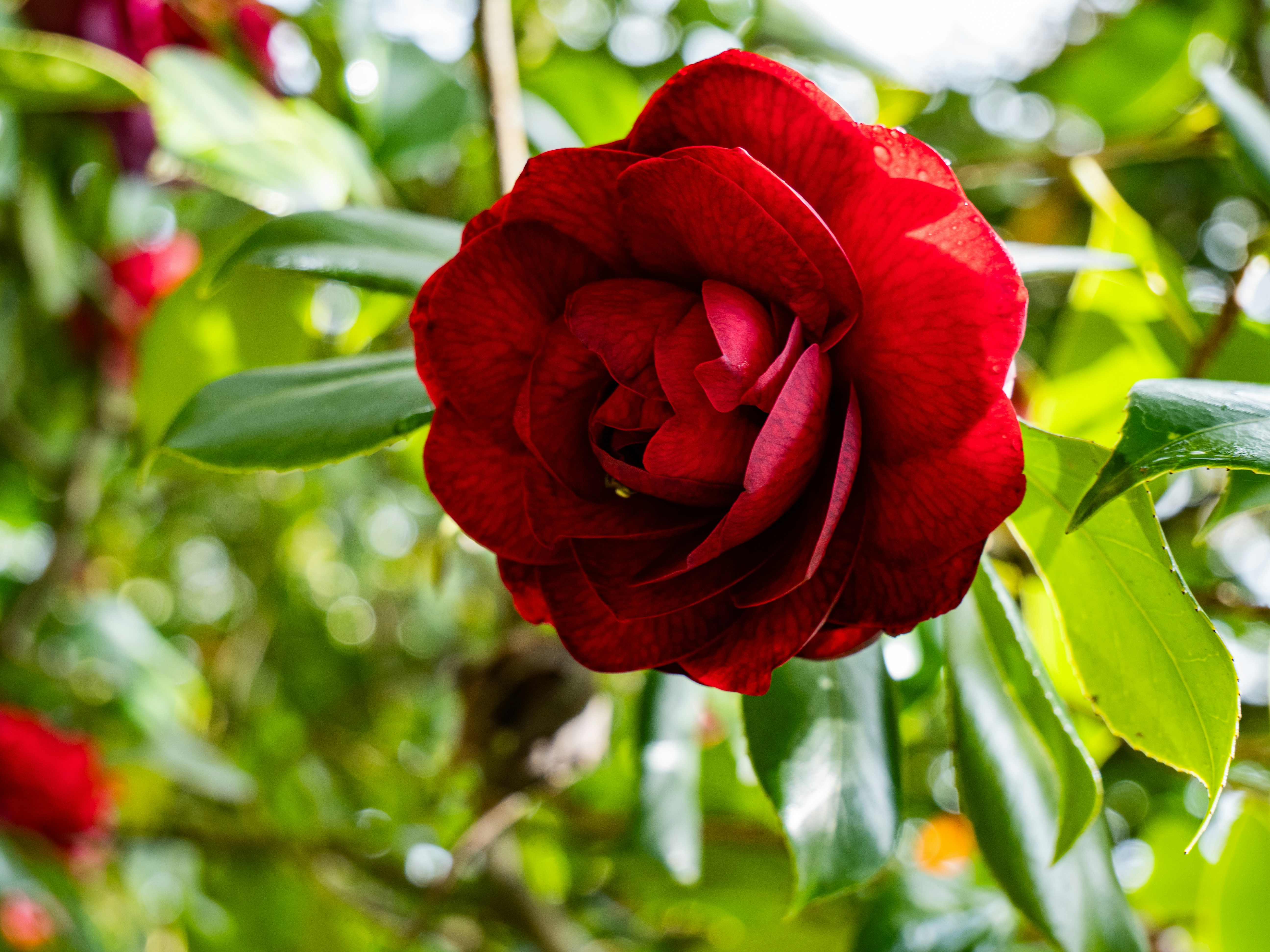 Photo by traces_du_monde