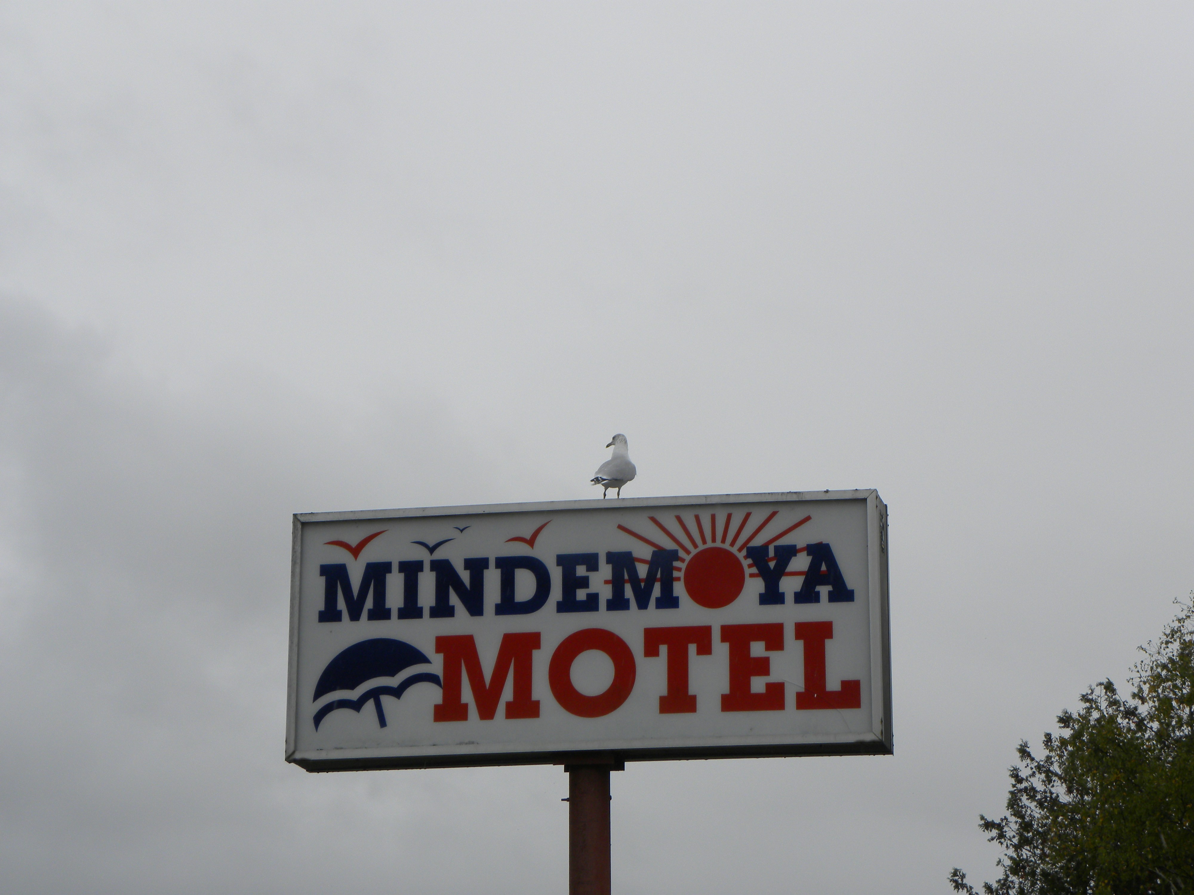 Best Hotels in Mandya for Long Stays (2026)