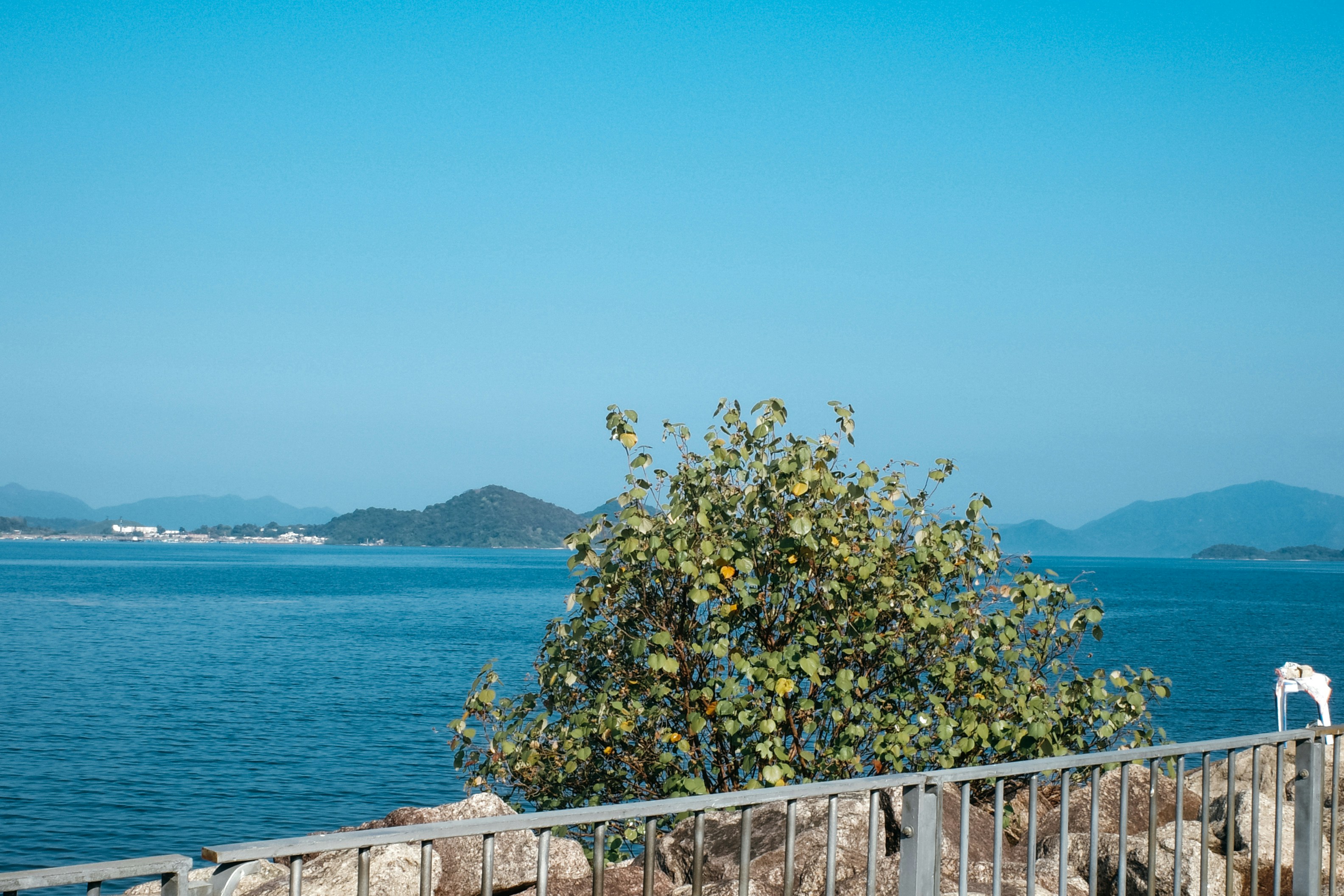 Photo by dickenslin76