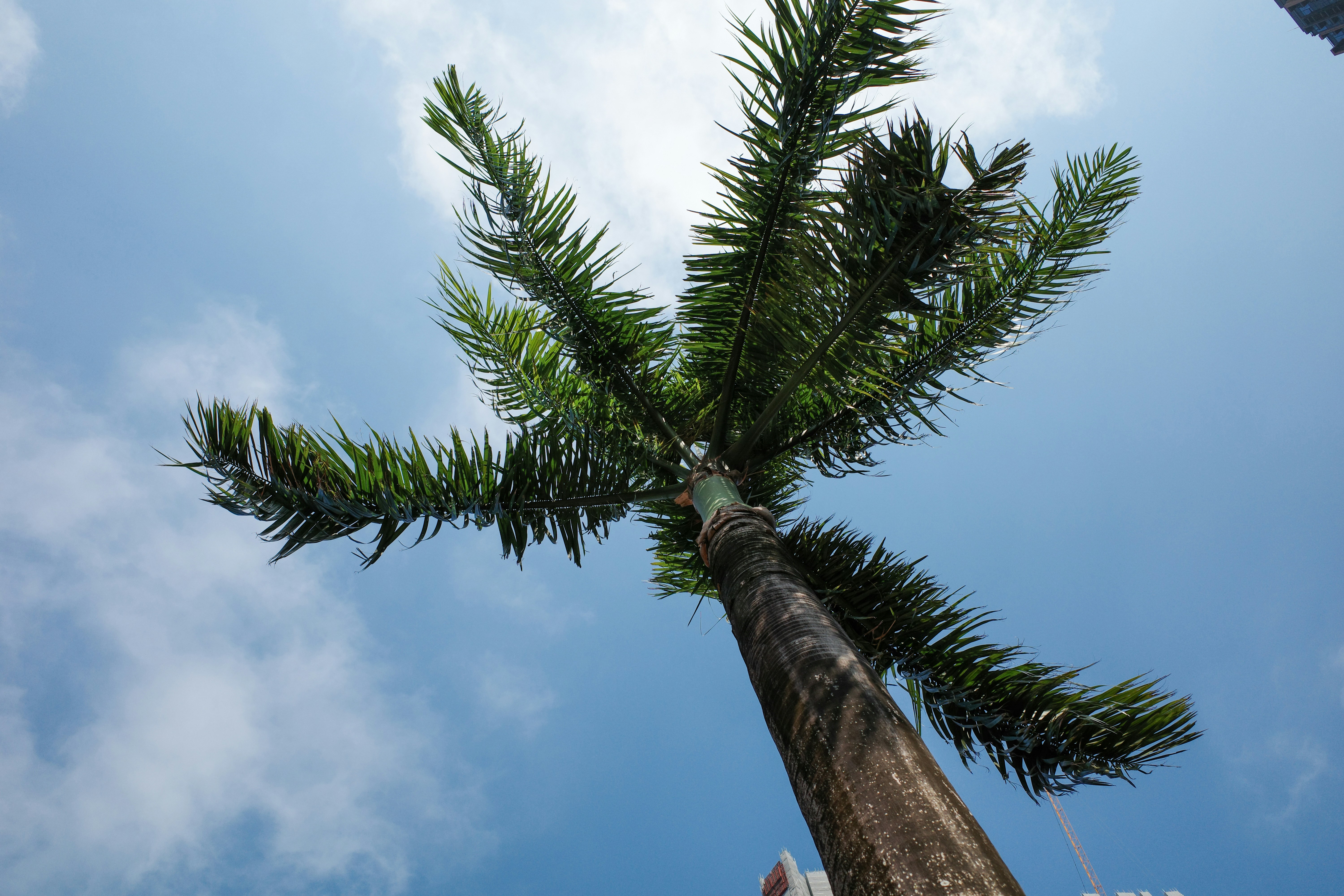 Photo by dickenslin76