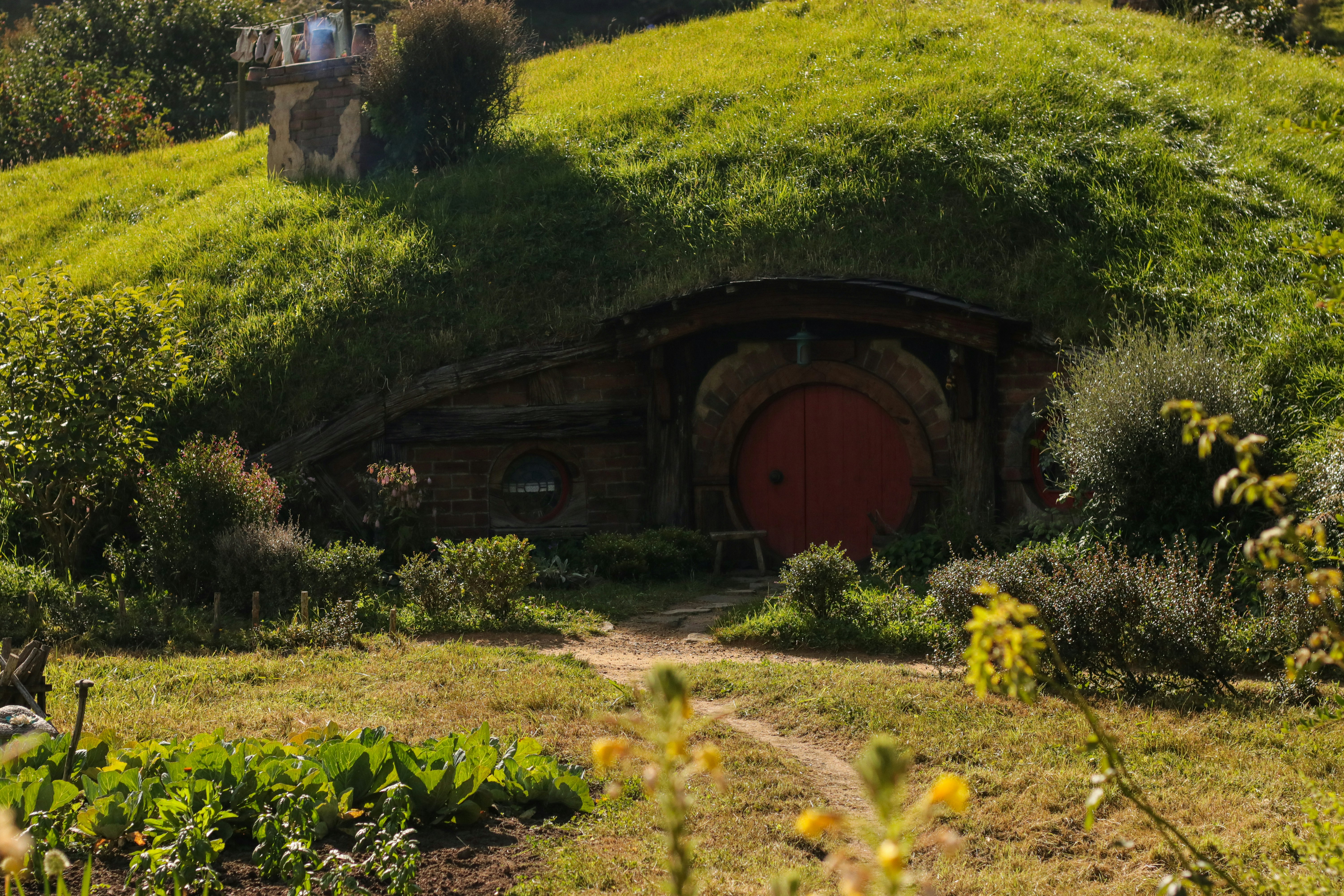 أغلى عسل في العالم