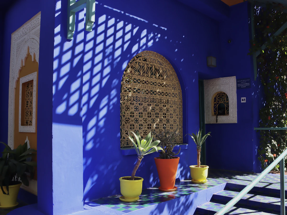 Maison bleue marocaine avec plantes en pot sur les marches