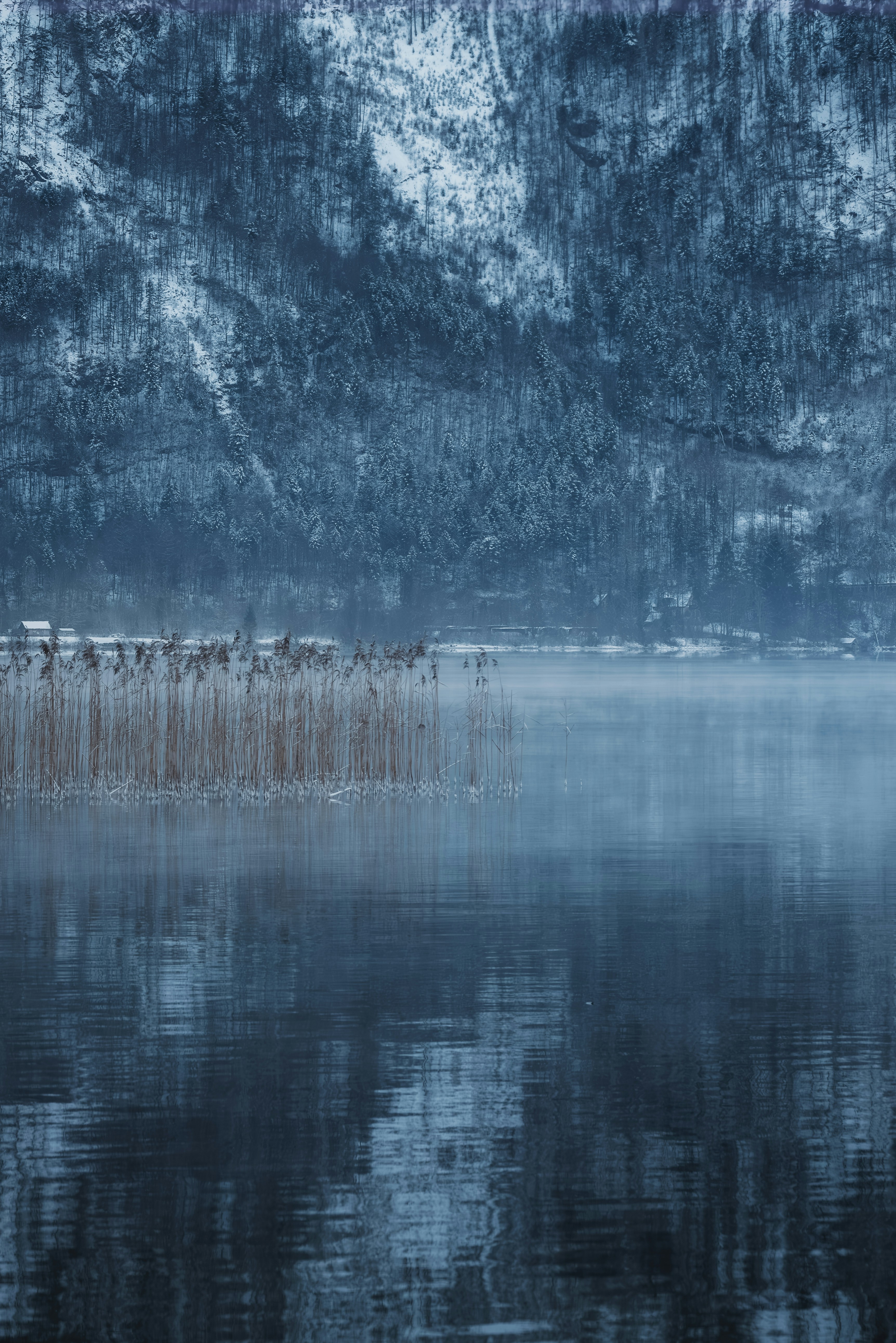 디지털 트렌드 You Asked 관련 이미지