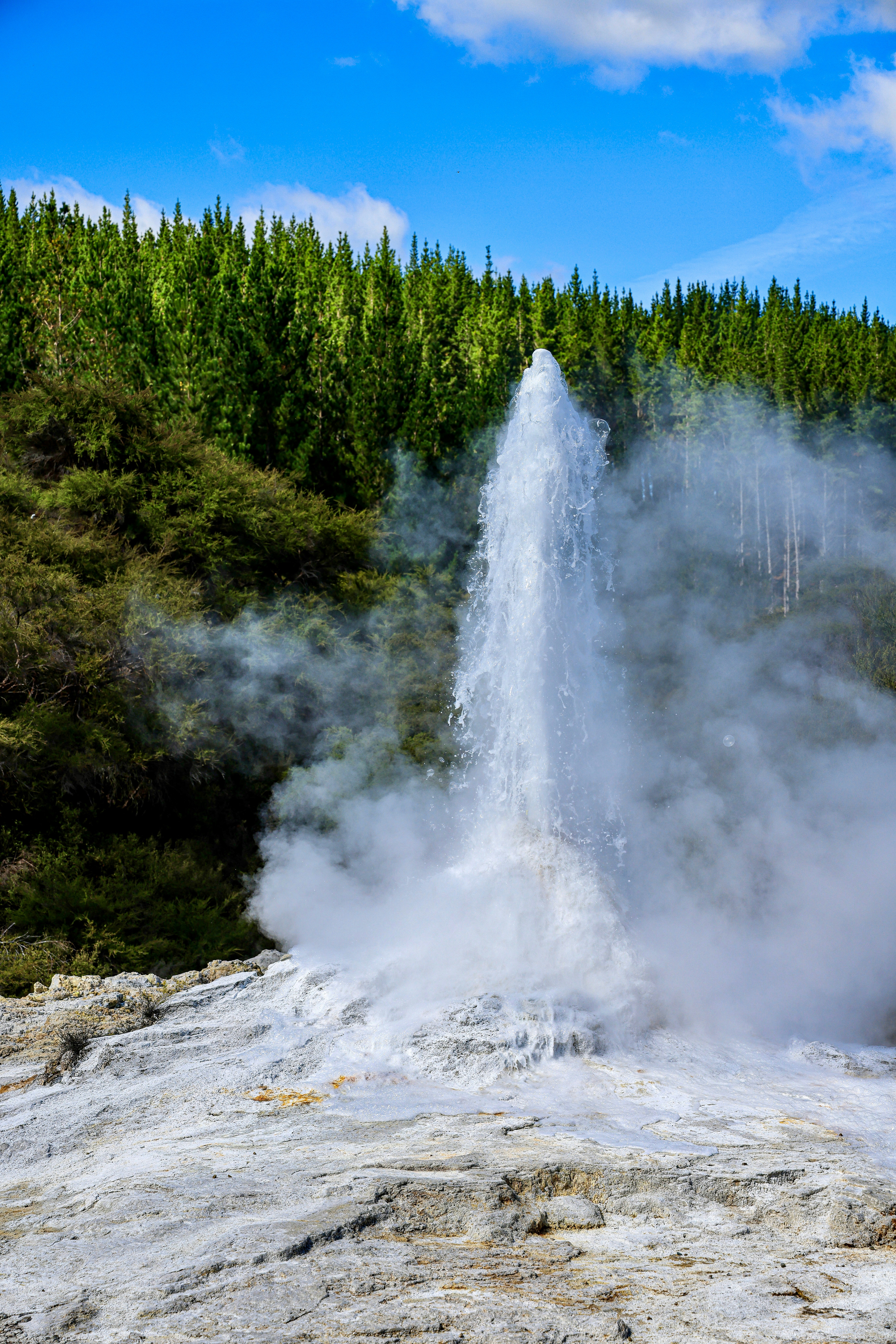 Photo by maximilian_brand