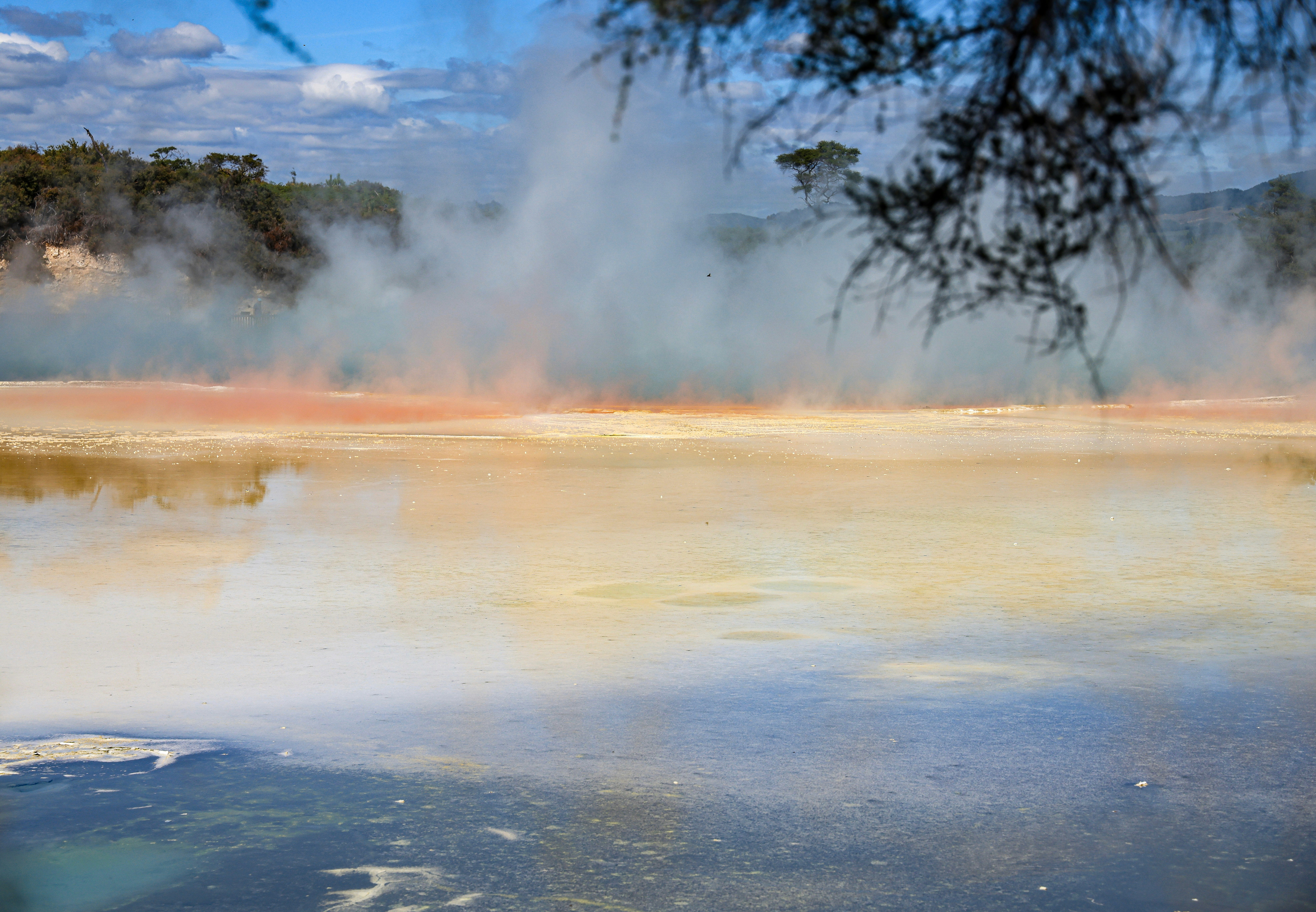 Photo by maximilian_brand