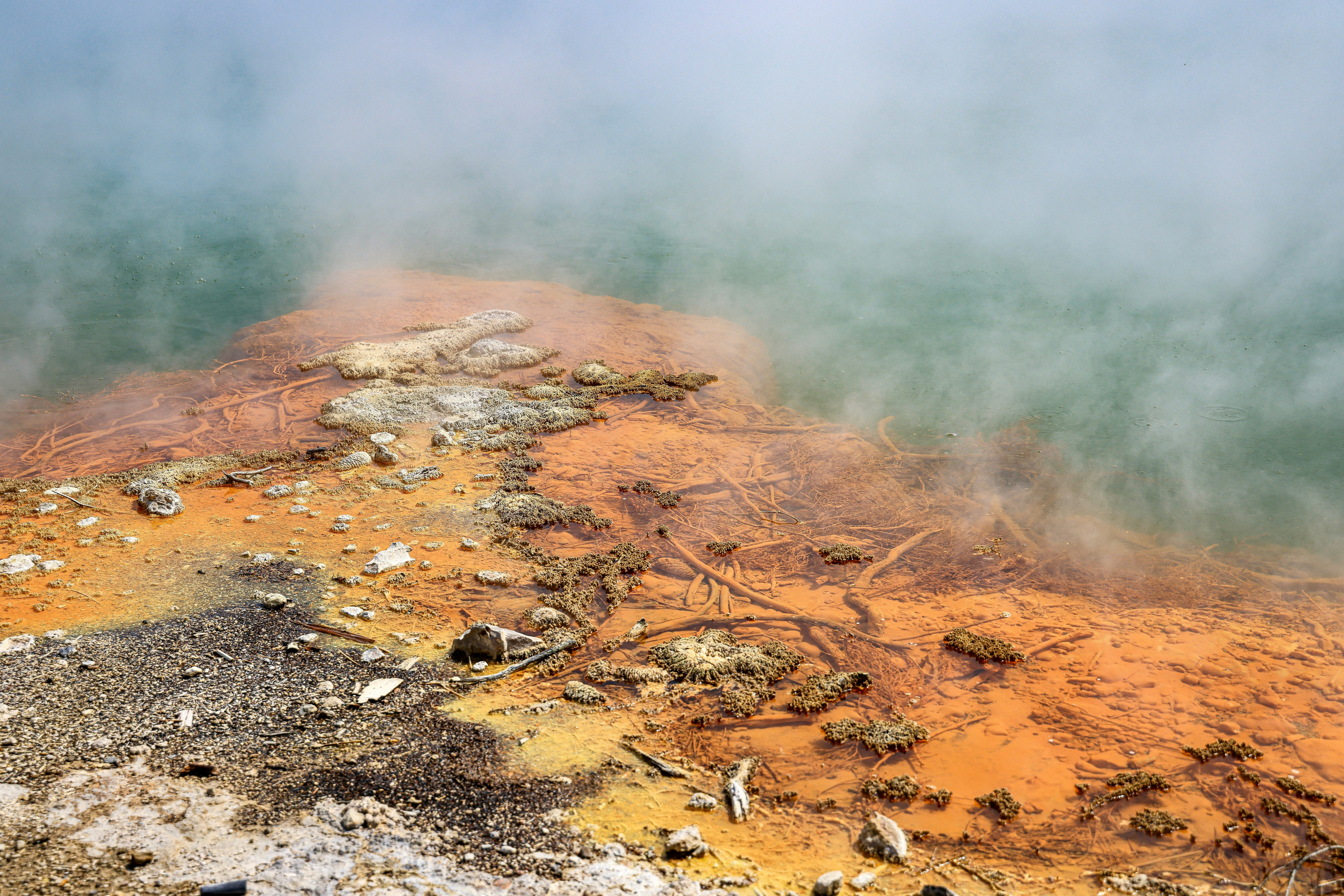 Photo by maximilian_brand