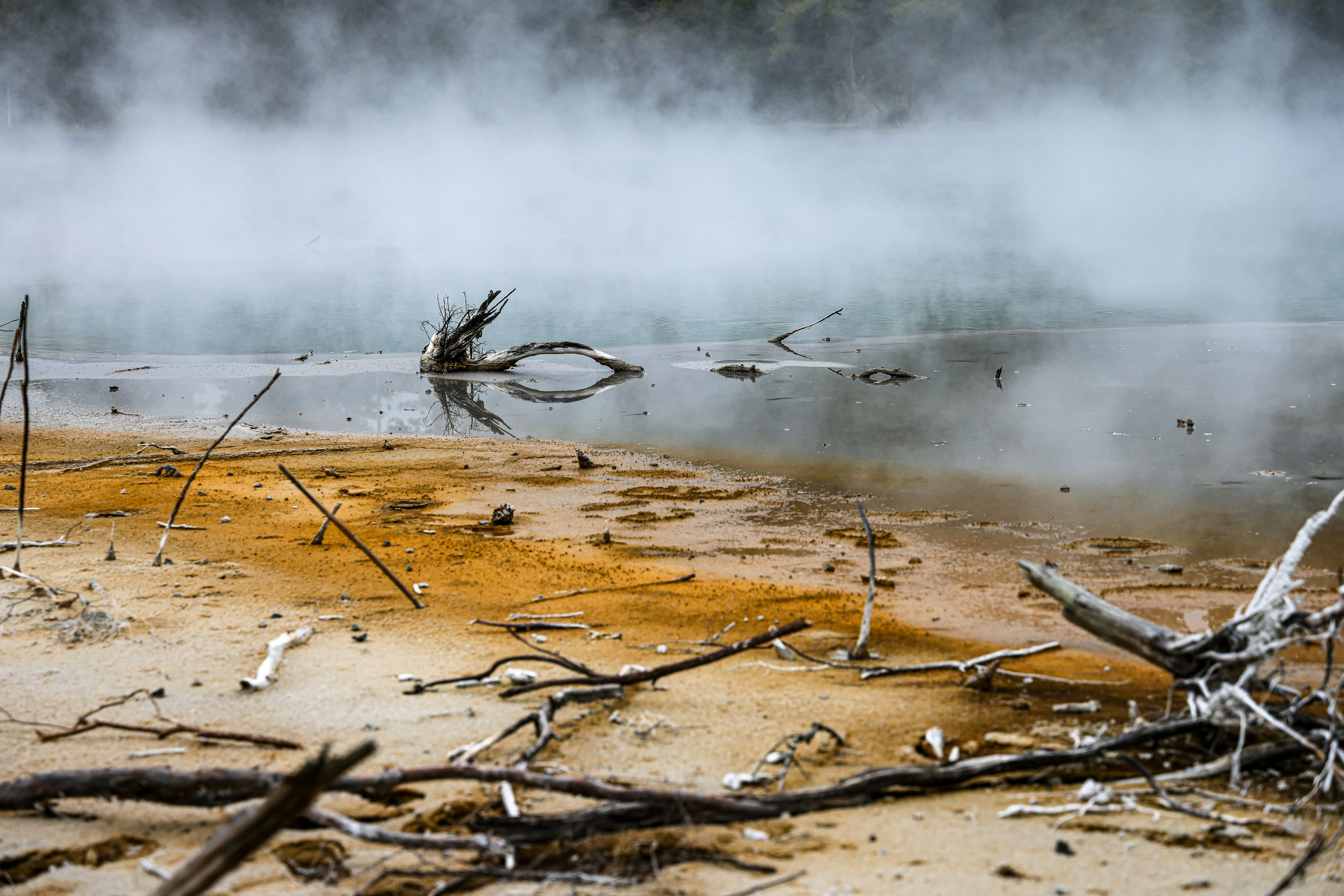 Photo by maximilian_brand