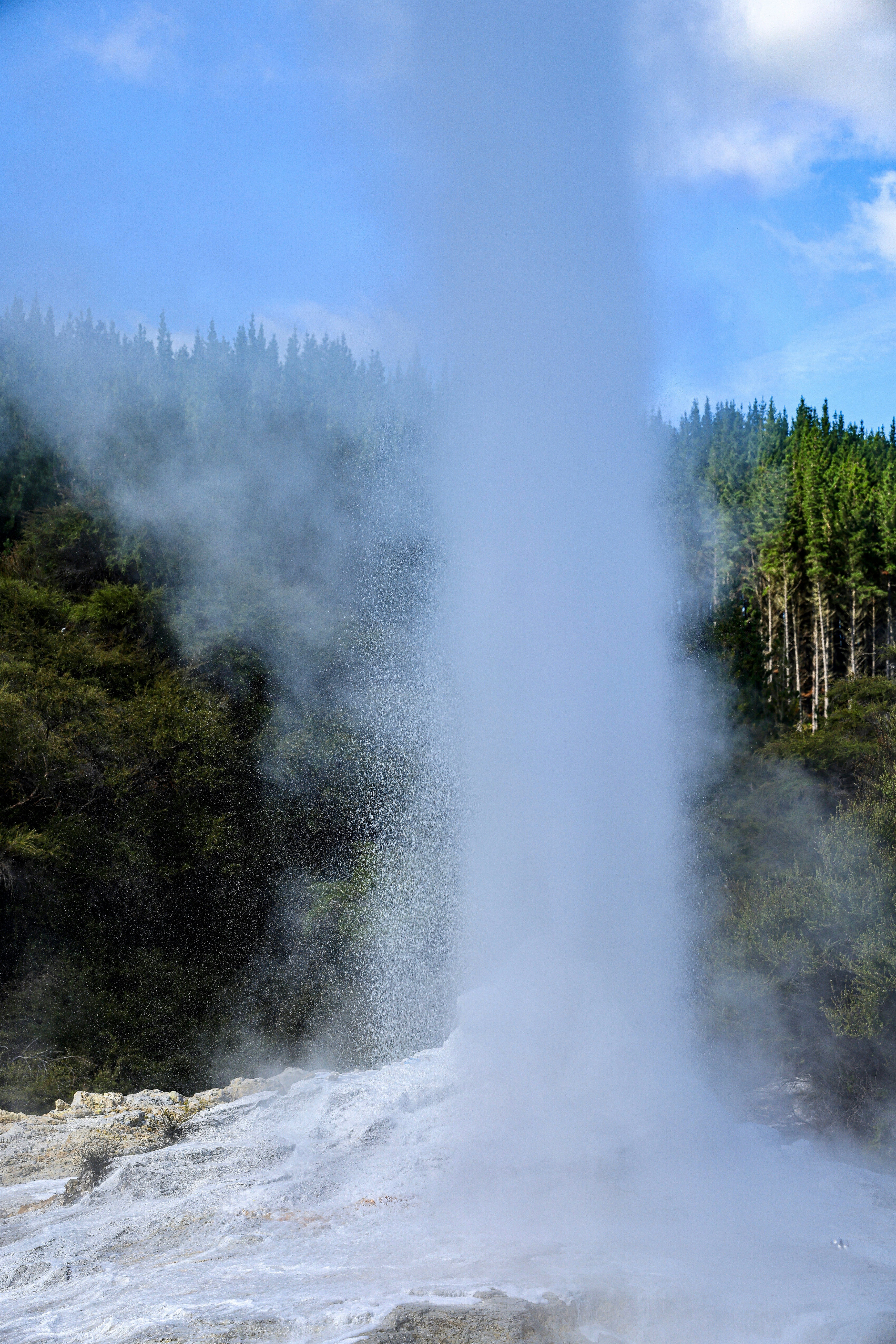 Photo by maximilian_brand