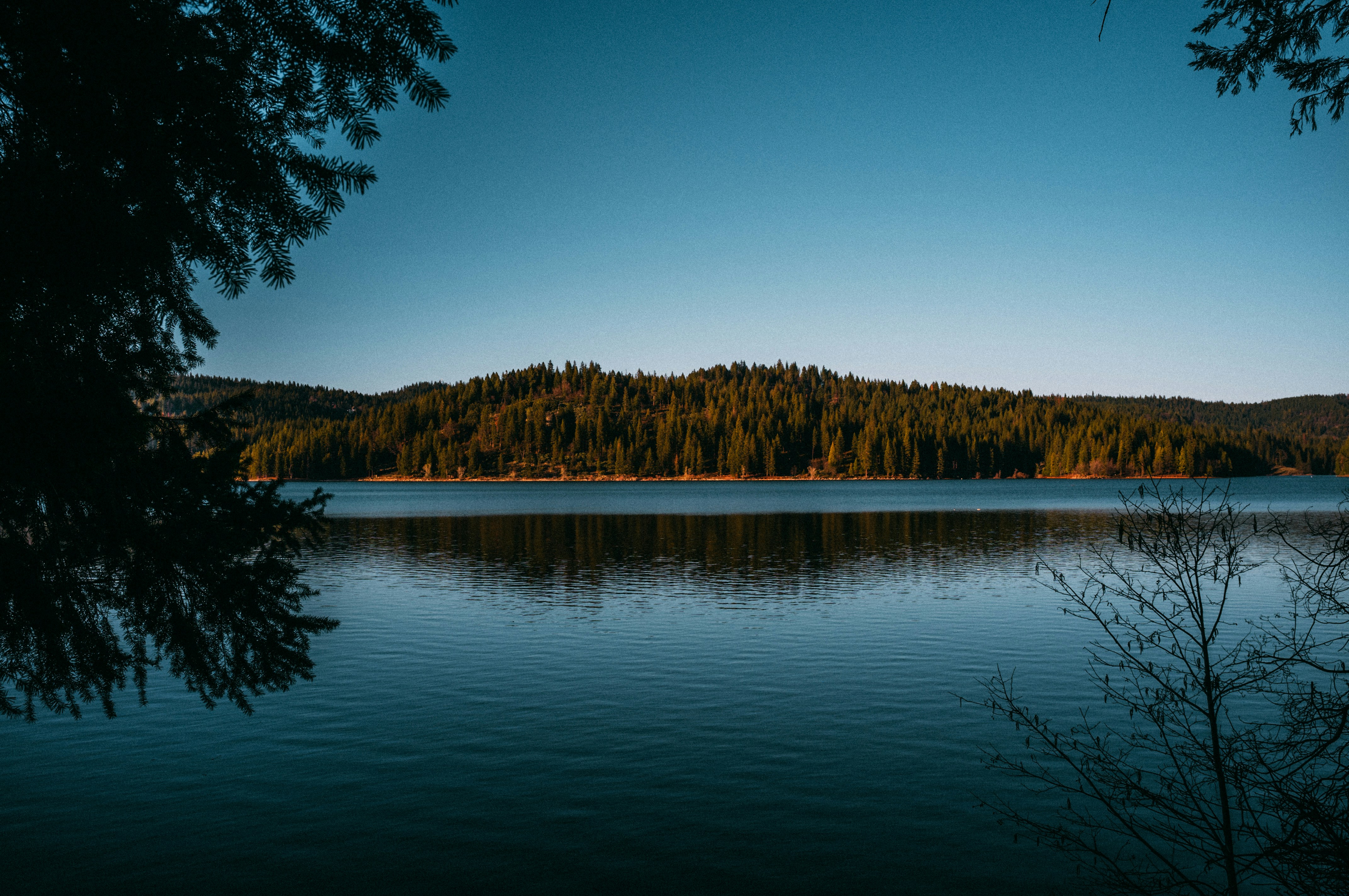 Photo by nathanguzman