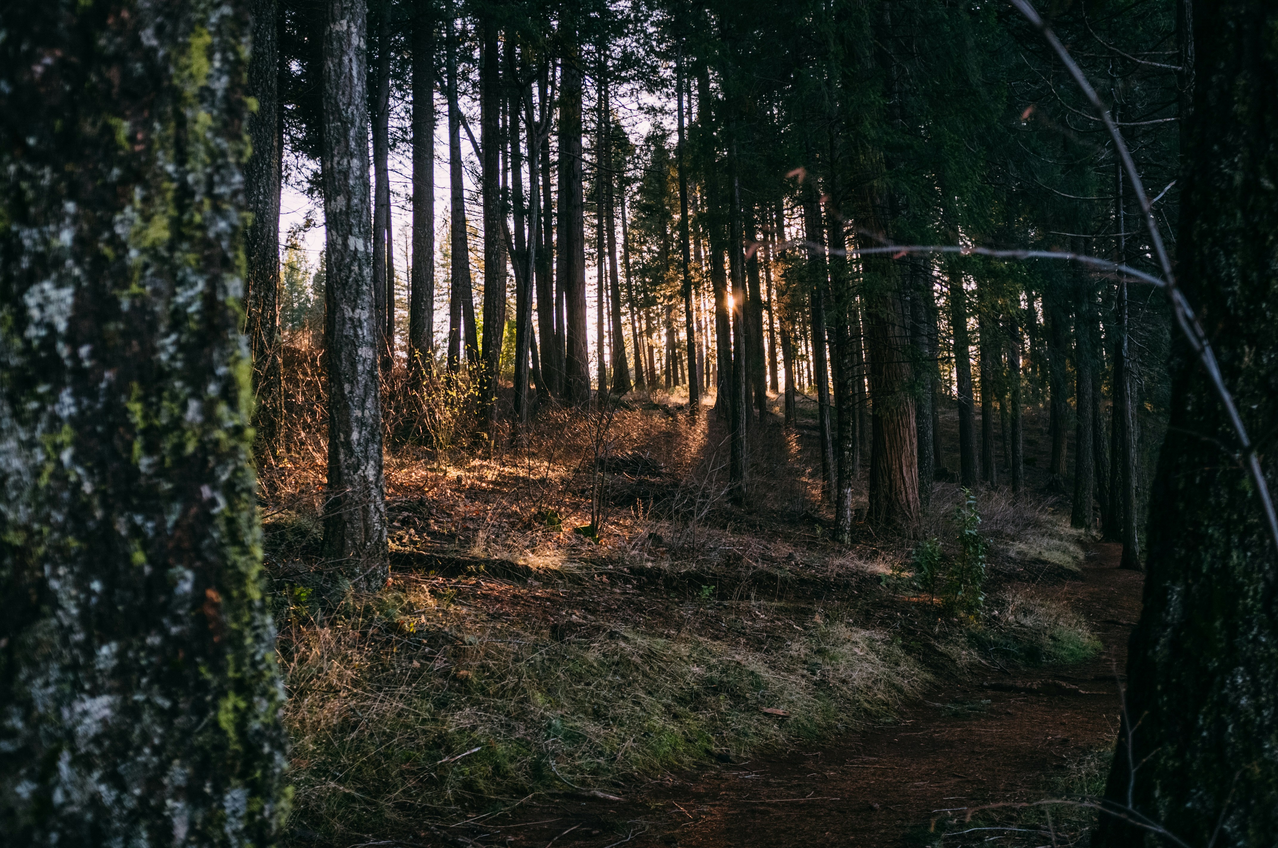 Photo by nathanguzman