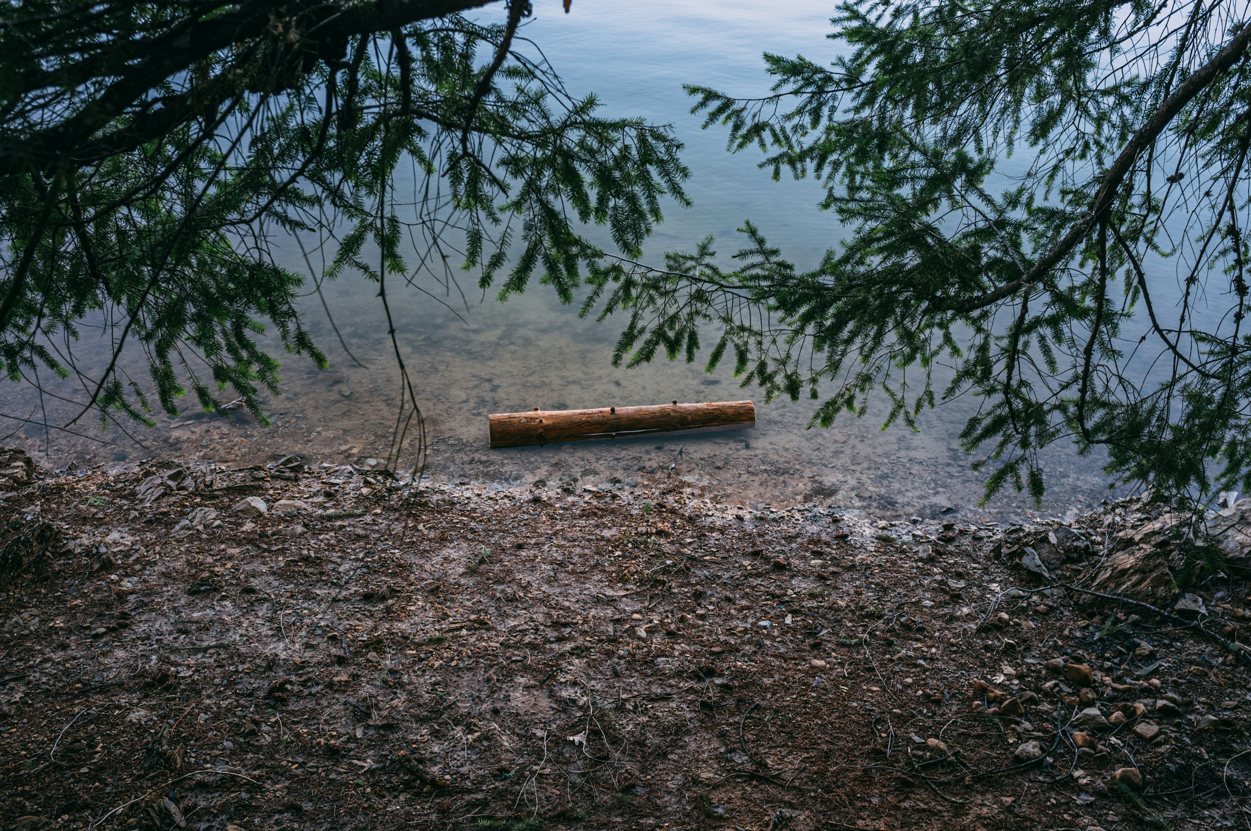 Un trozo de madera colocado en la parte superior de una playa junto a un cuerpo de agua