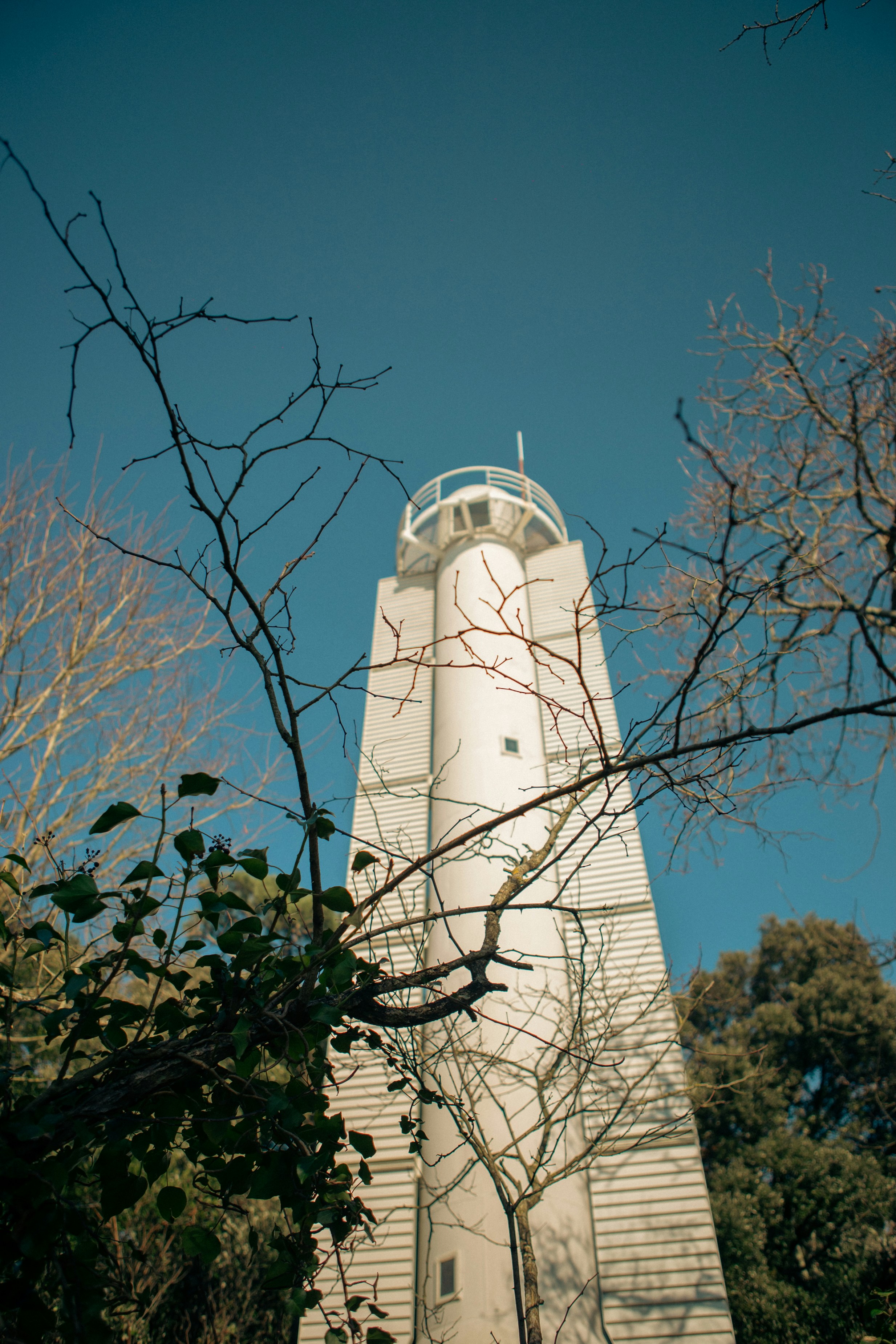 Orizuru Tower photo 2