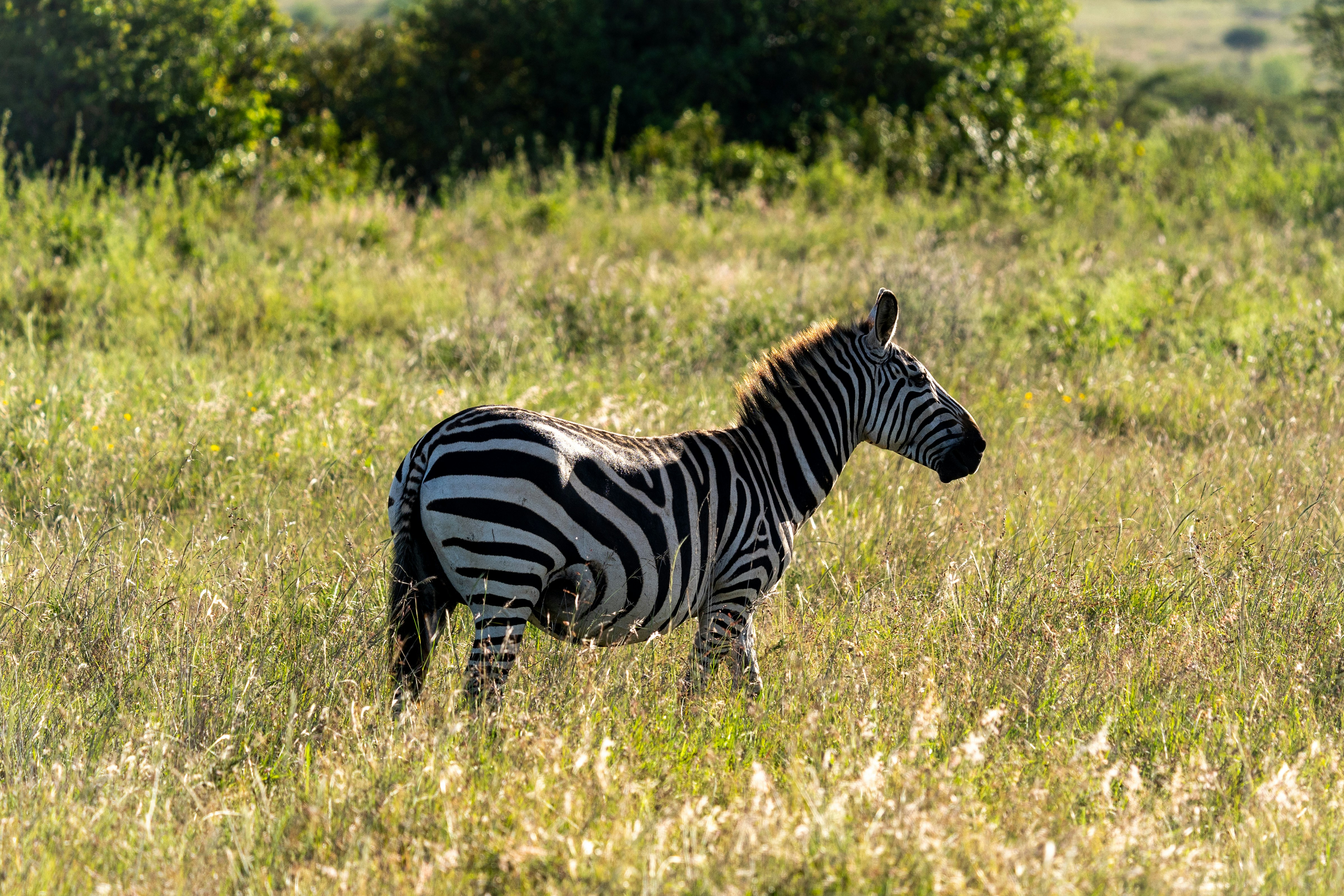 Photo by mmvisualstories