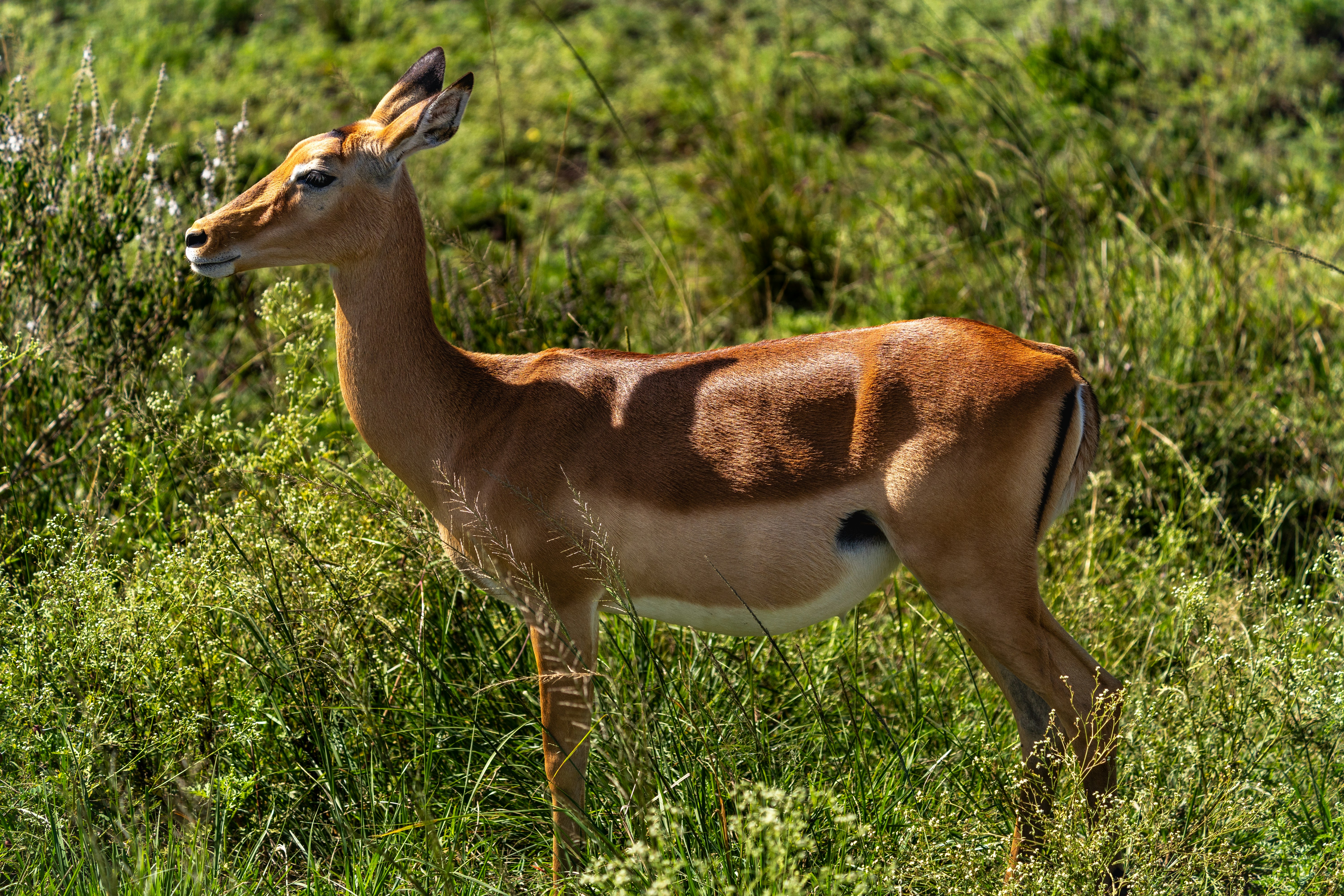 Photo by mmvisualstories