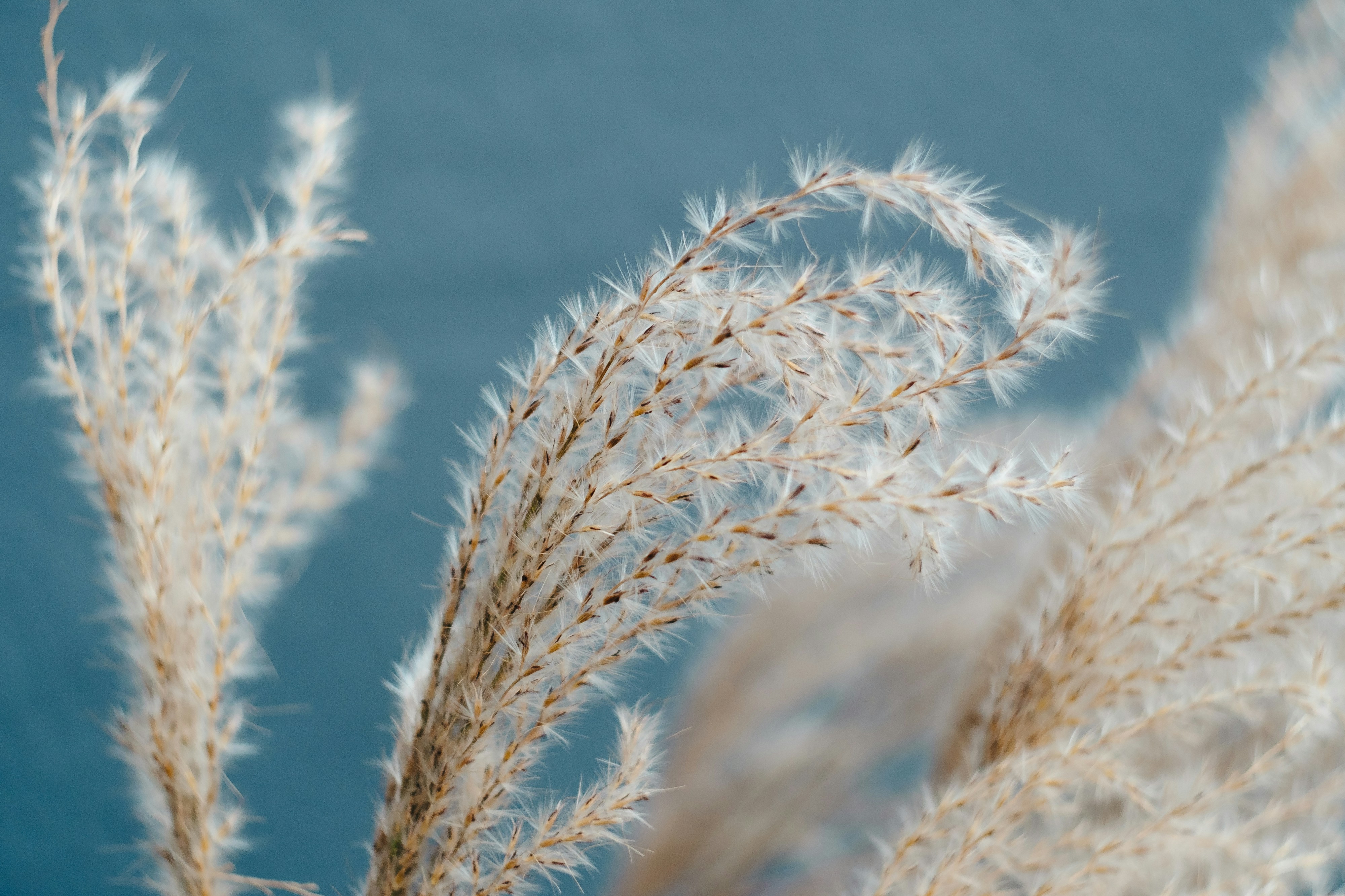 Photo by markuswinkler