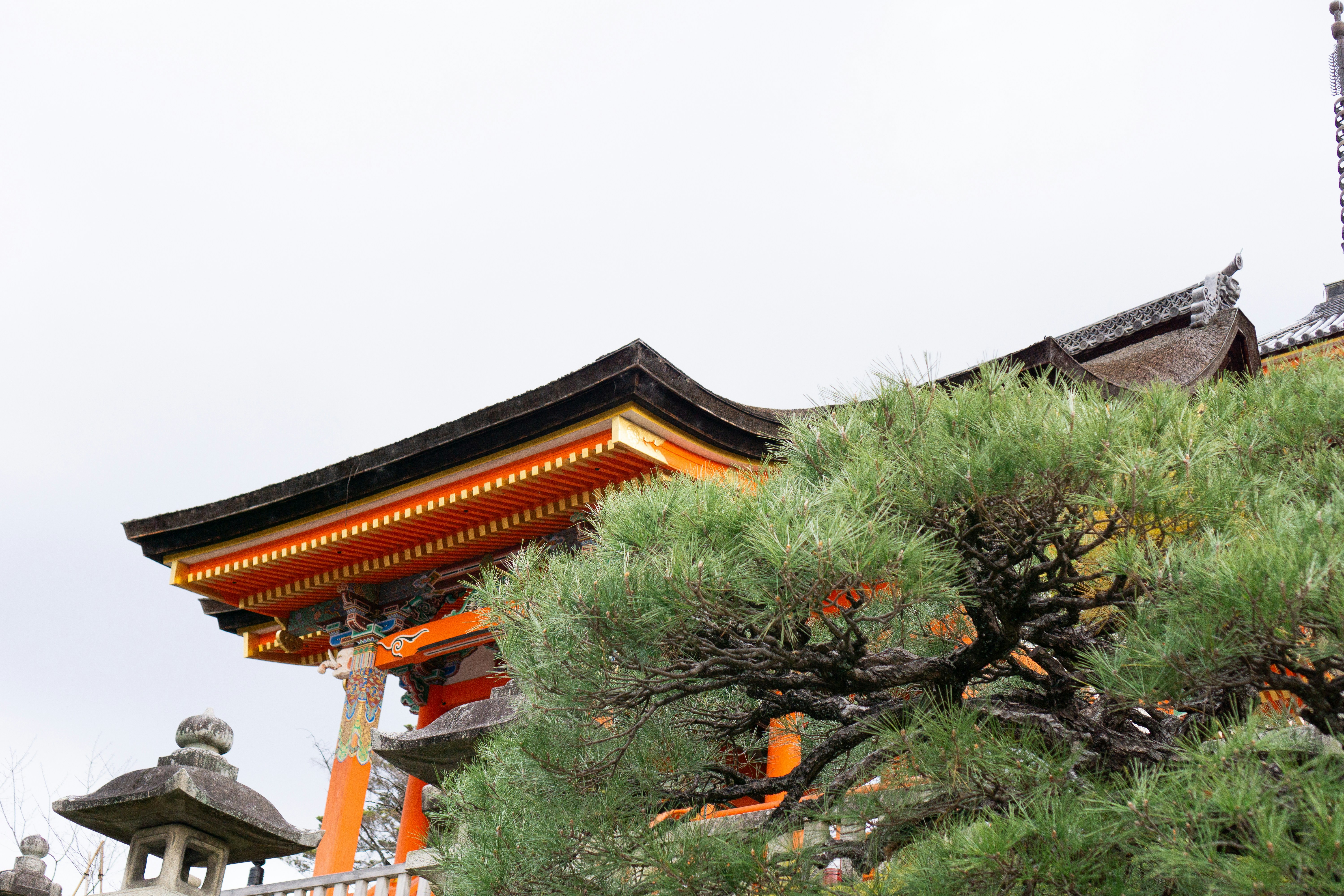 صورة المعرض