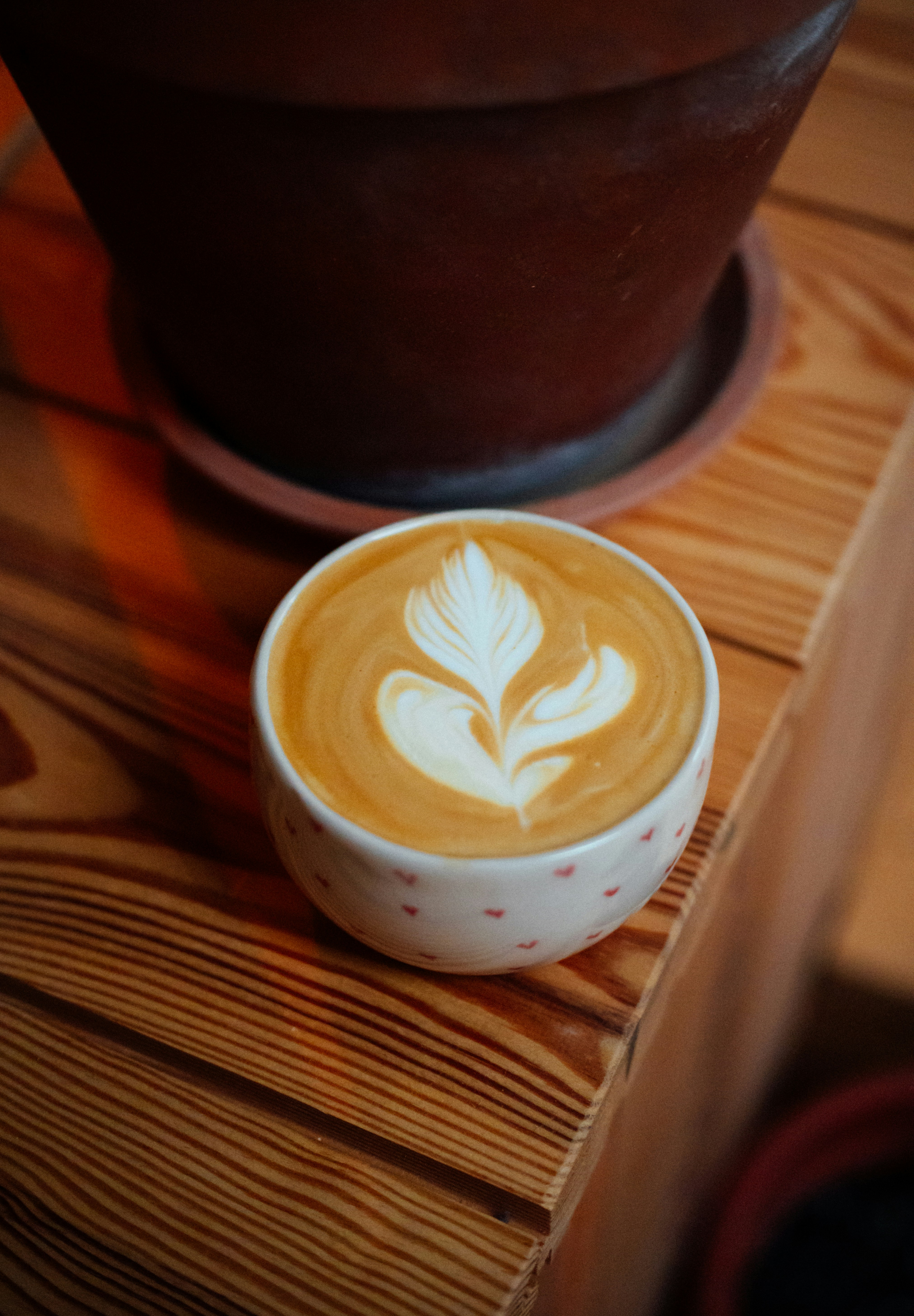 Photo by raymondpetrik