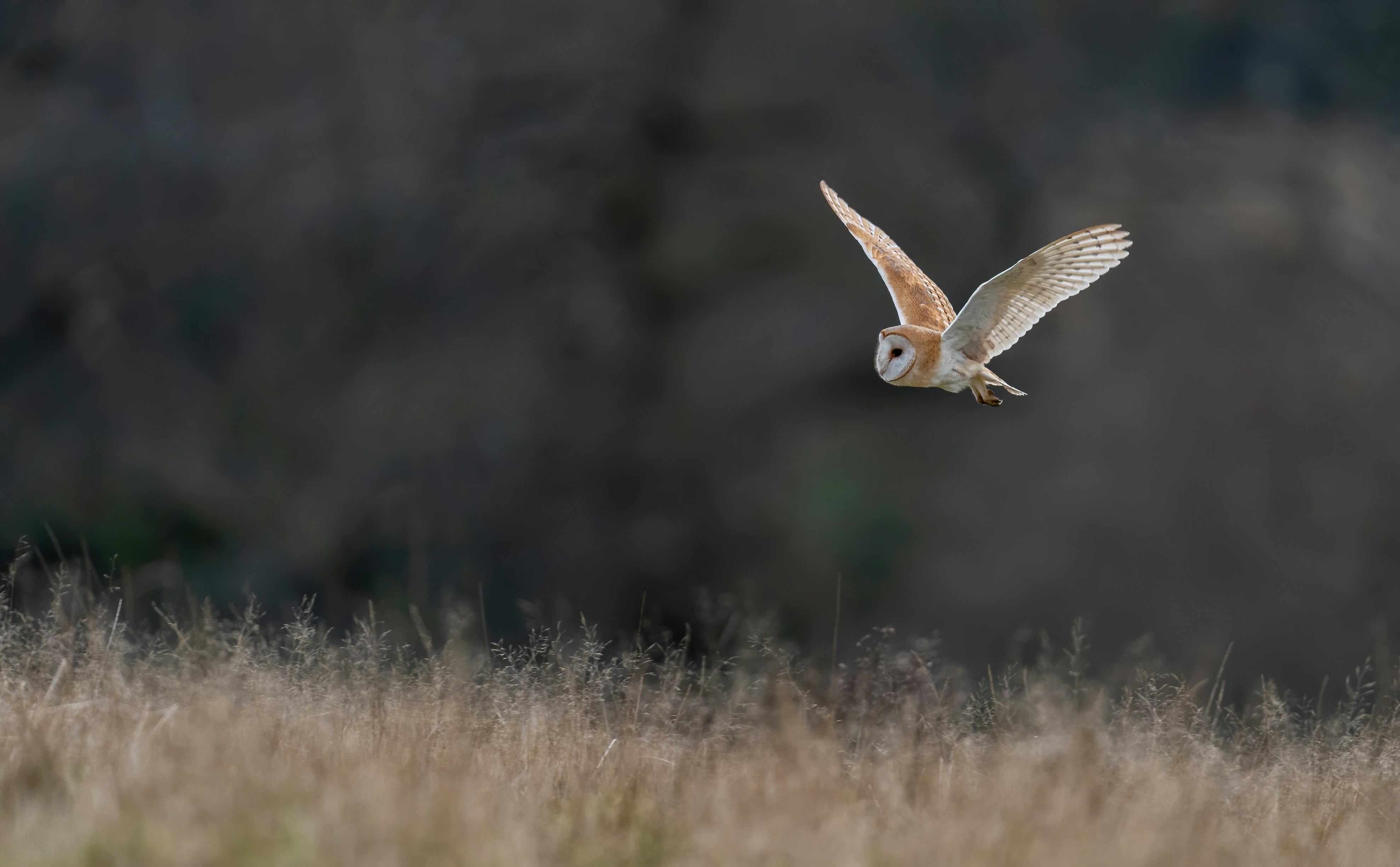 환절기 체온 유지가 중요한 이유와 건강 지키는 법