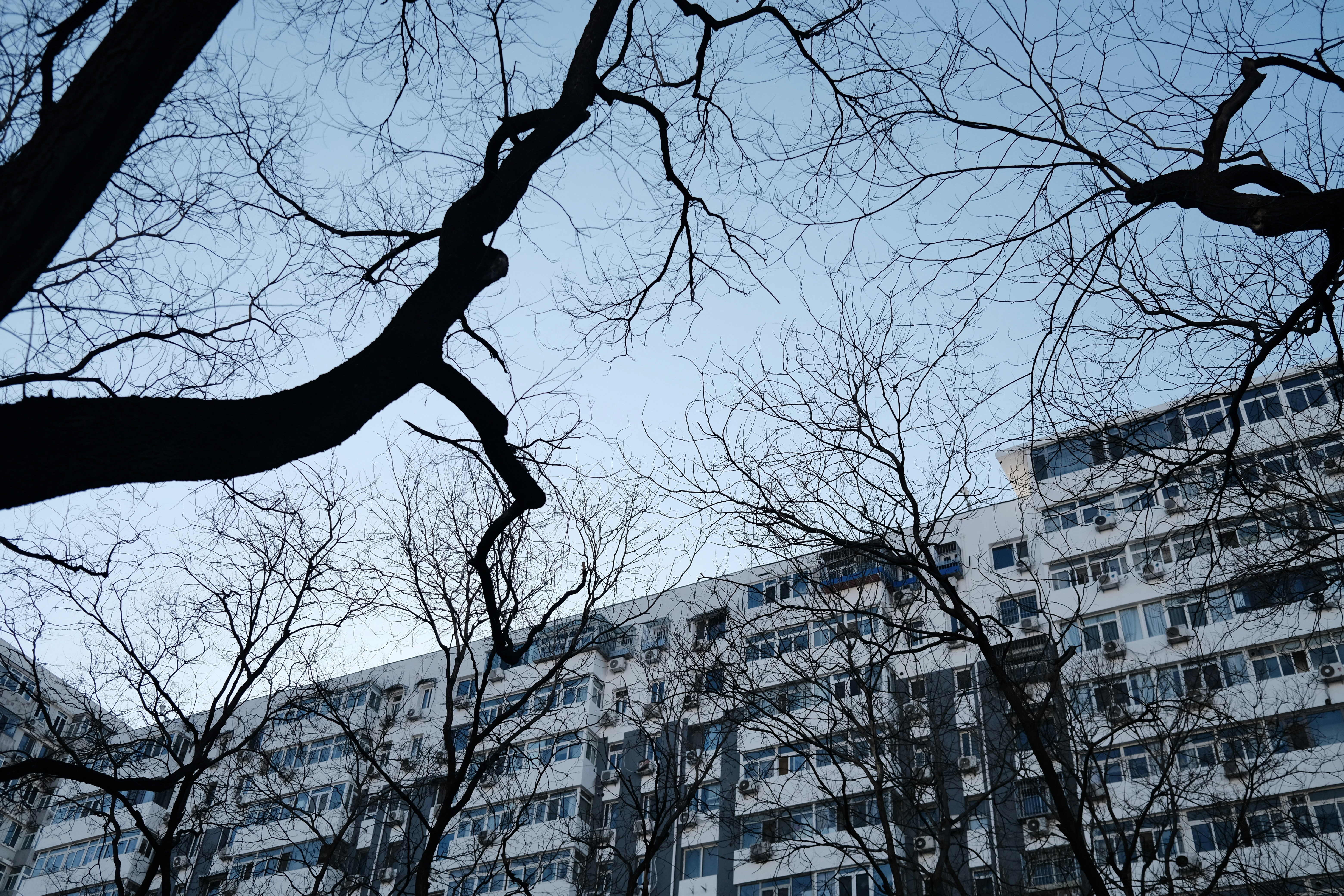 Photo by mfchshao