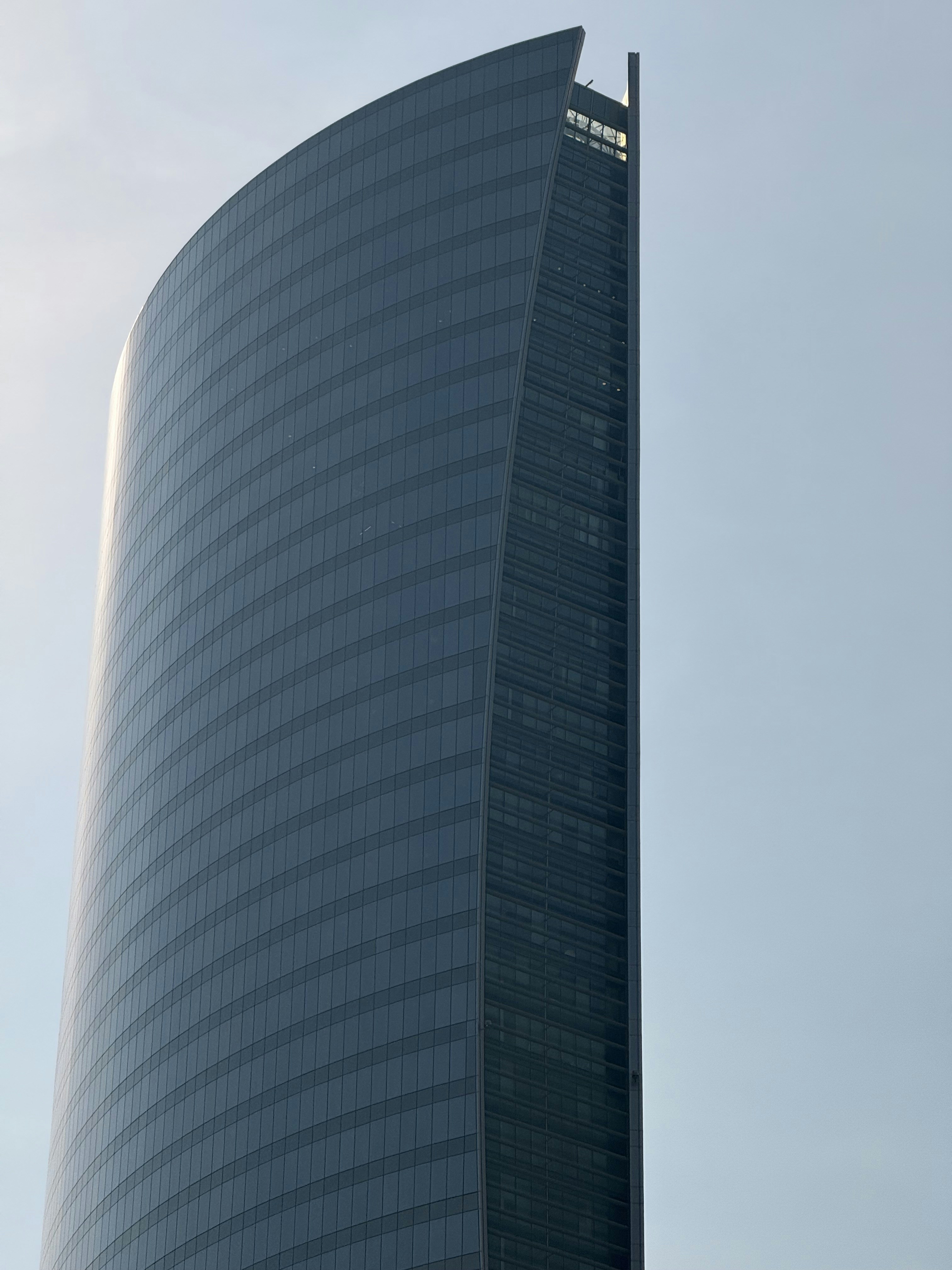 Photo by artemisss666