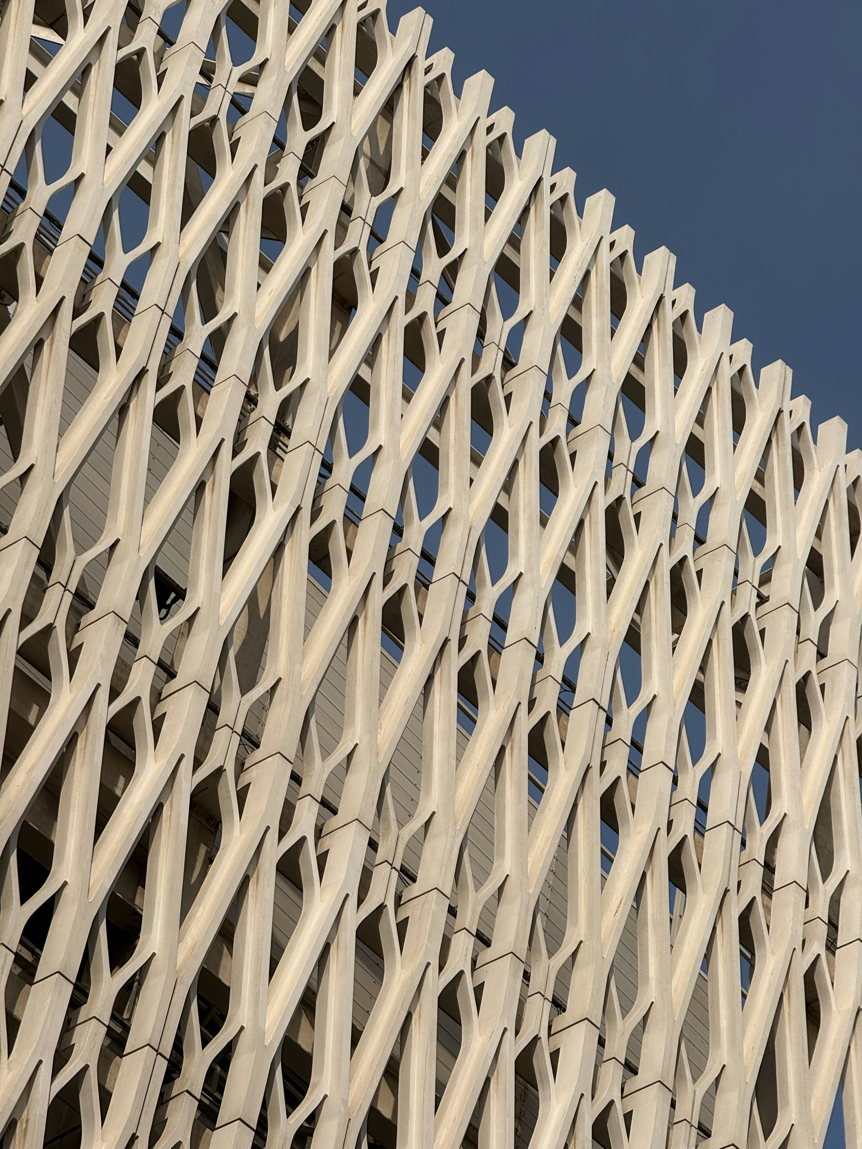 Photo by artemisss666