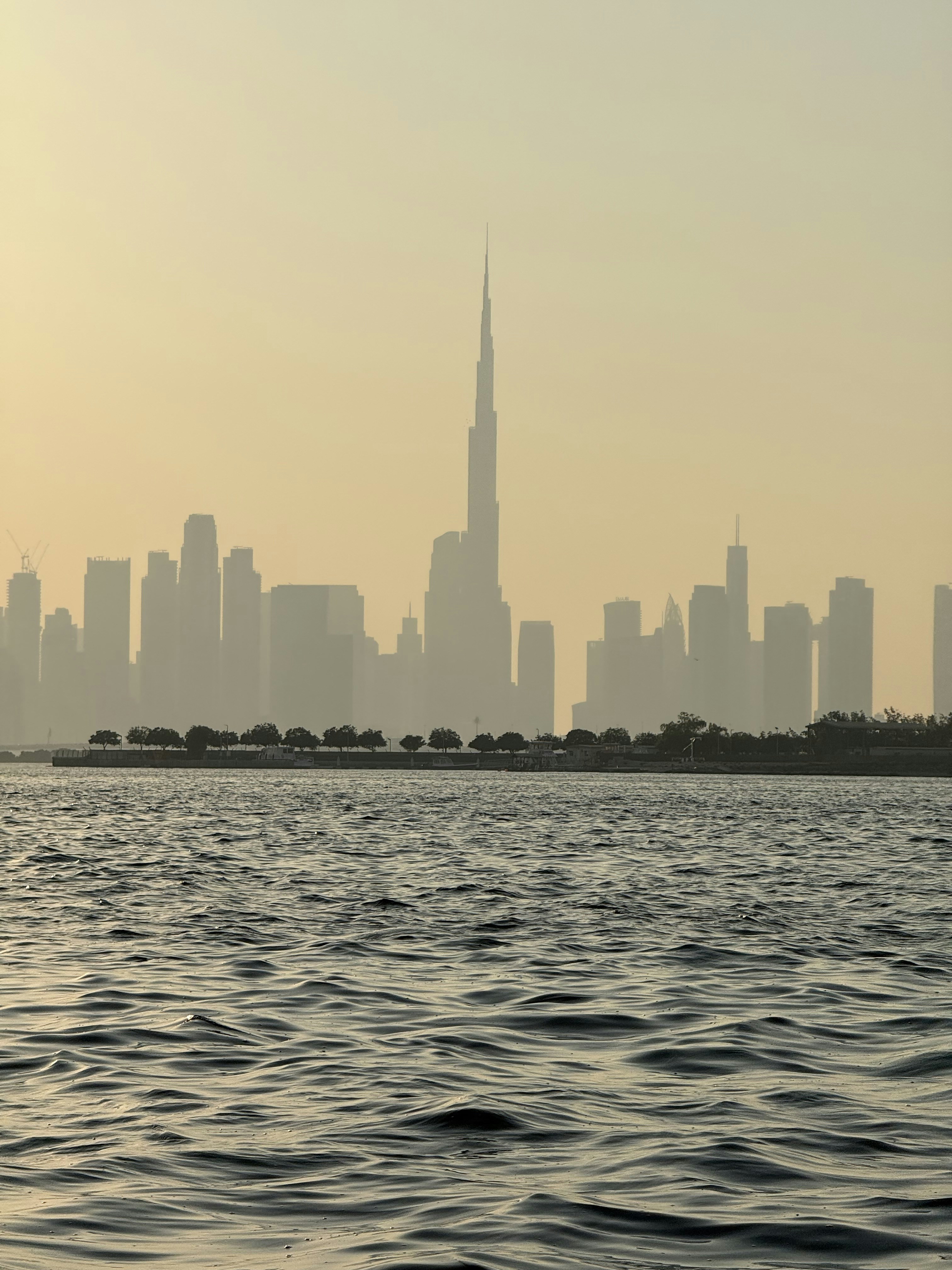 Photo by artemisss666