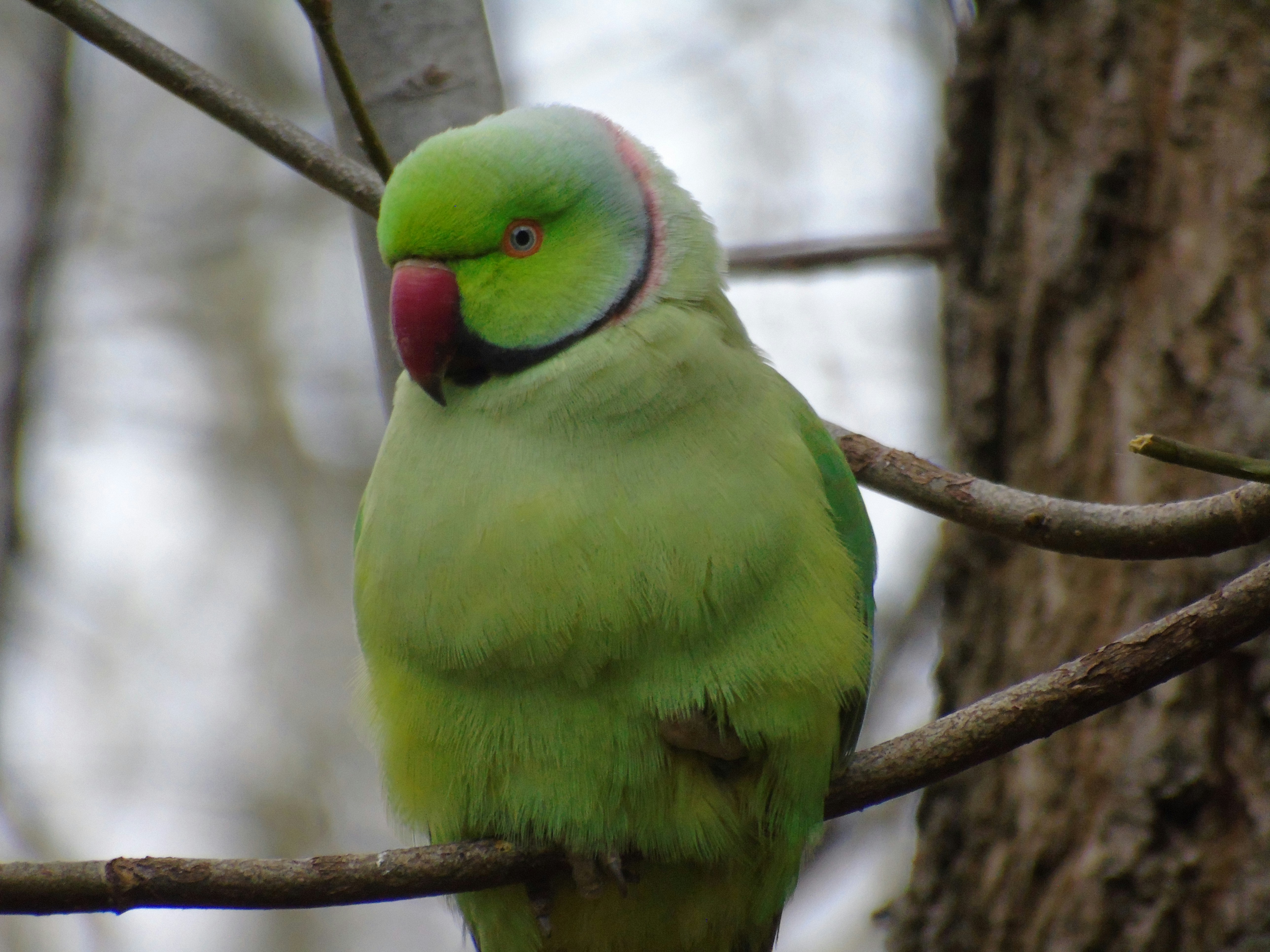 Photo by brookehannah