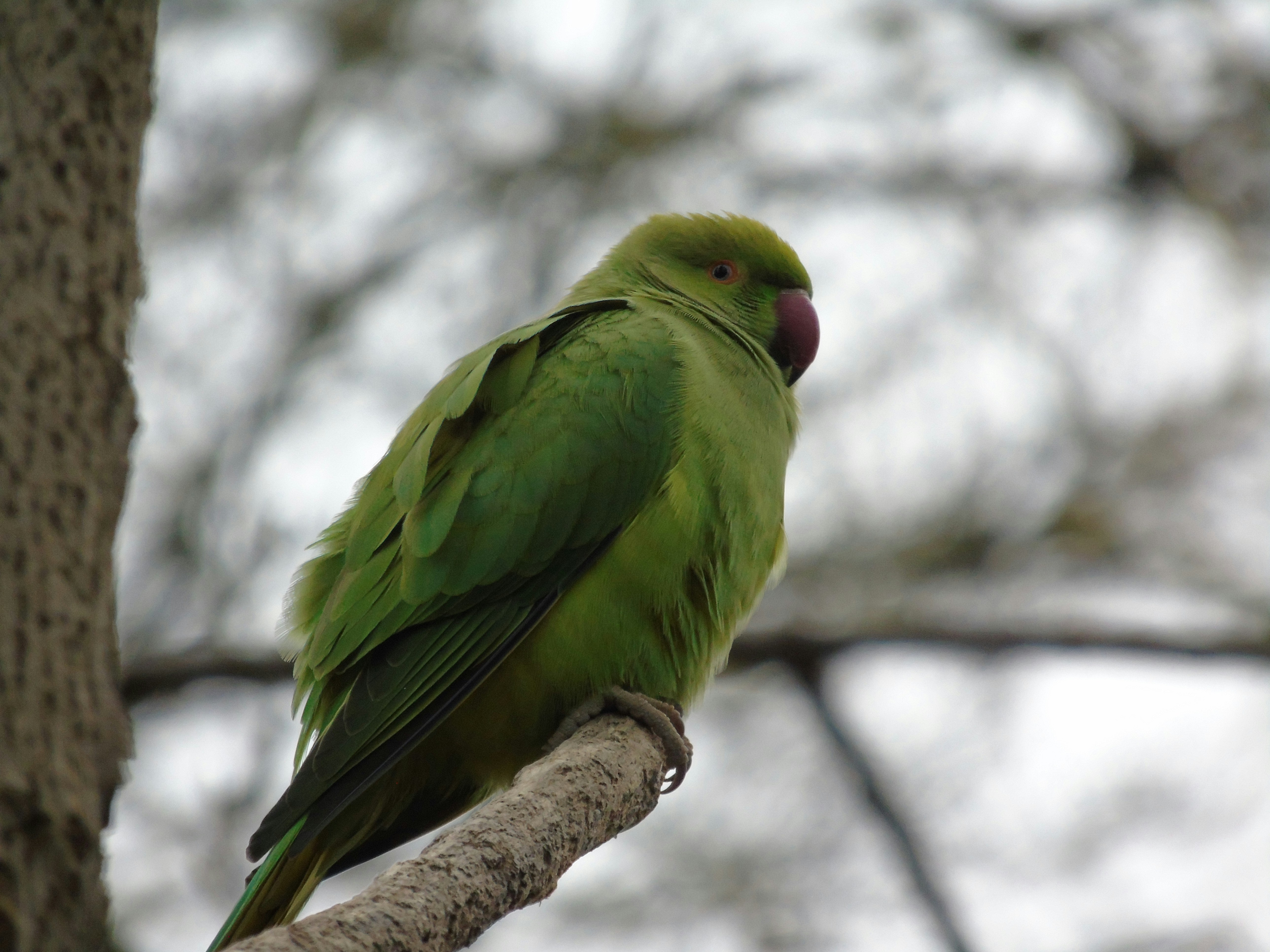 Photo by brookehannah