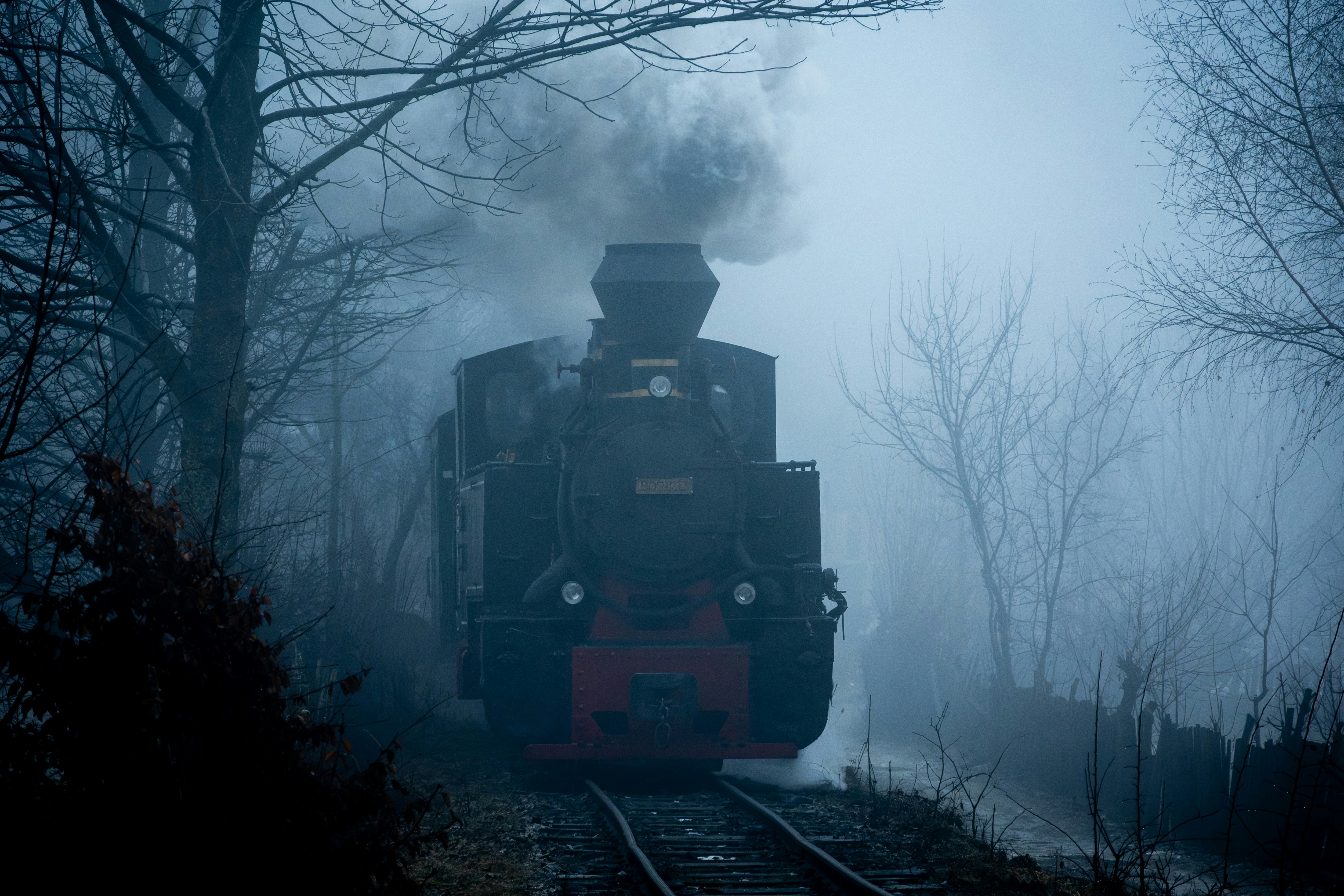 A steam engine train traveling through a foggy forest