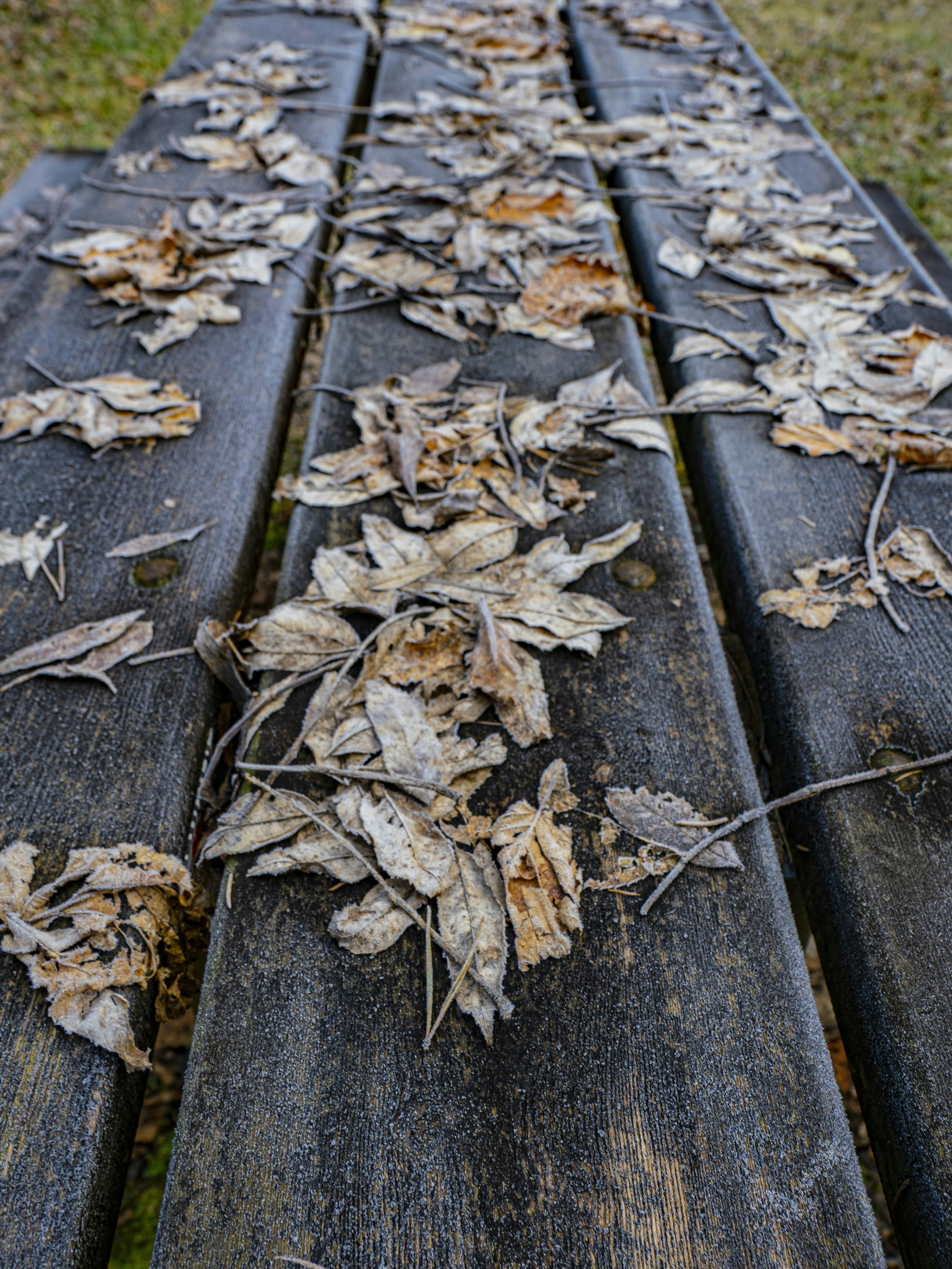 Photo by gopitri_prem